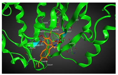 Cells 07 00216 i010 Cells 07 00216 i010