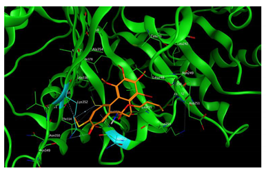 Cells 07 00216 i011 Cells 07 00216 i011