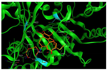 Cells 07 00216 i012 Cells 07 00216 i012