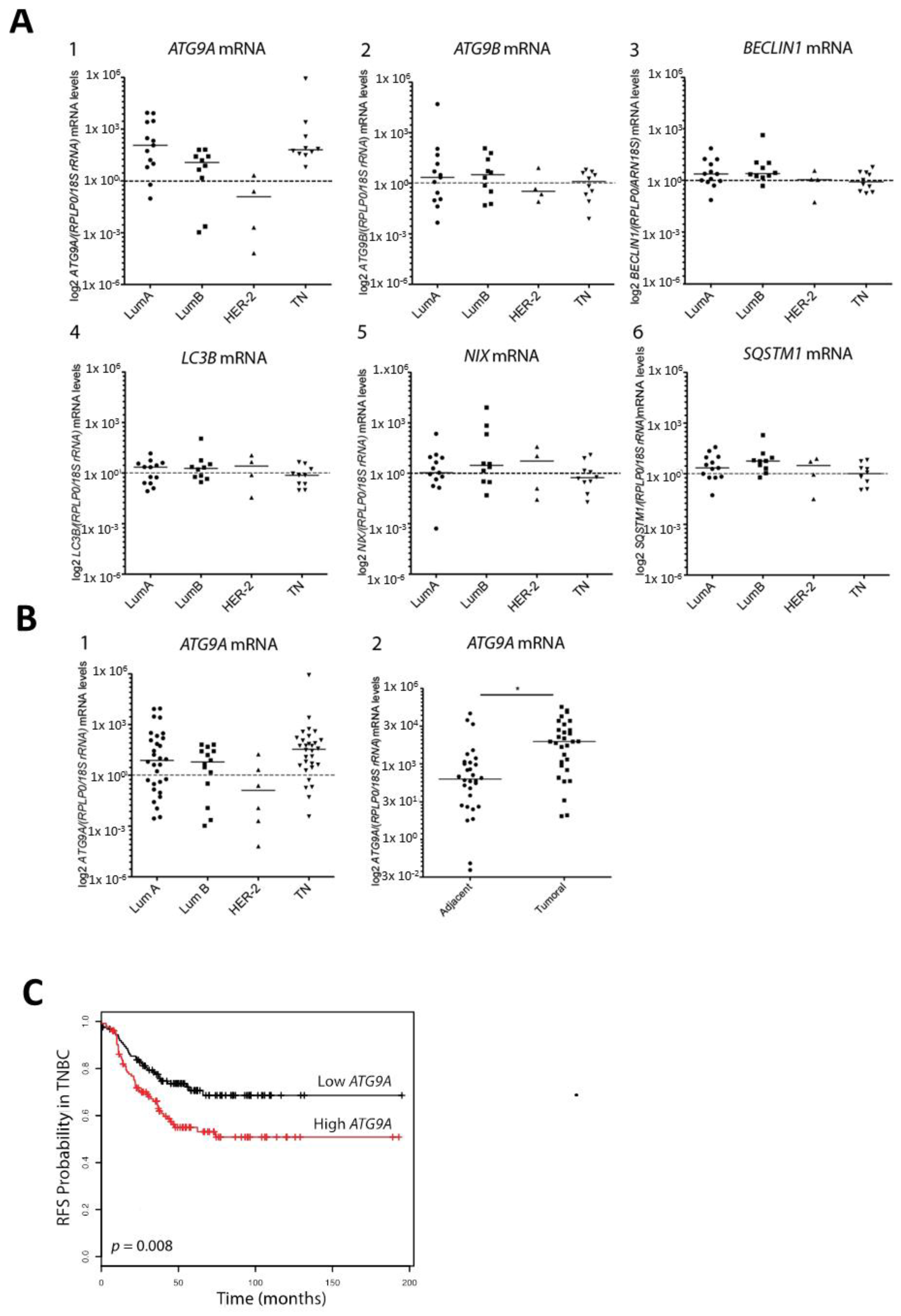 Cells 07 00248 g001 Cells 07 00248 g001