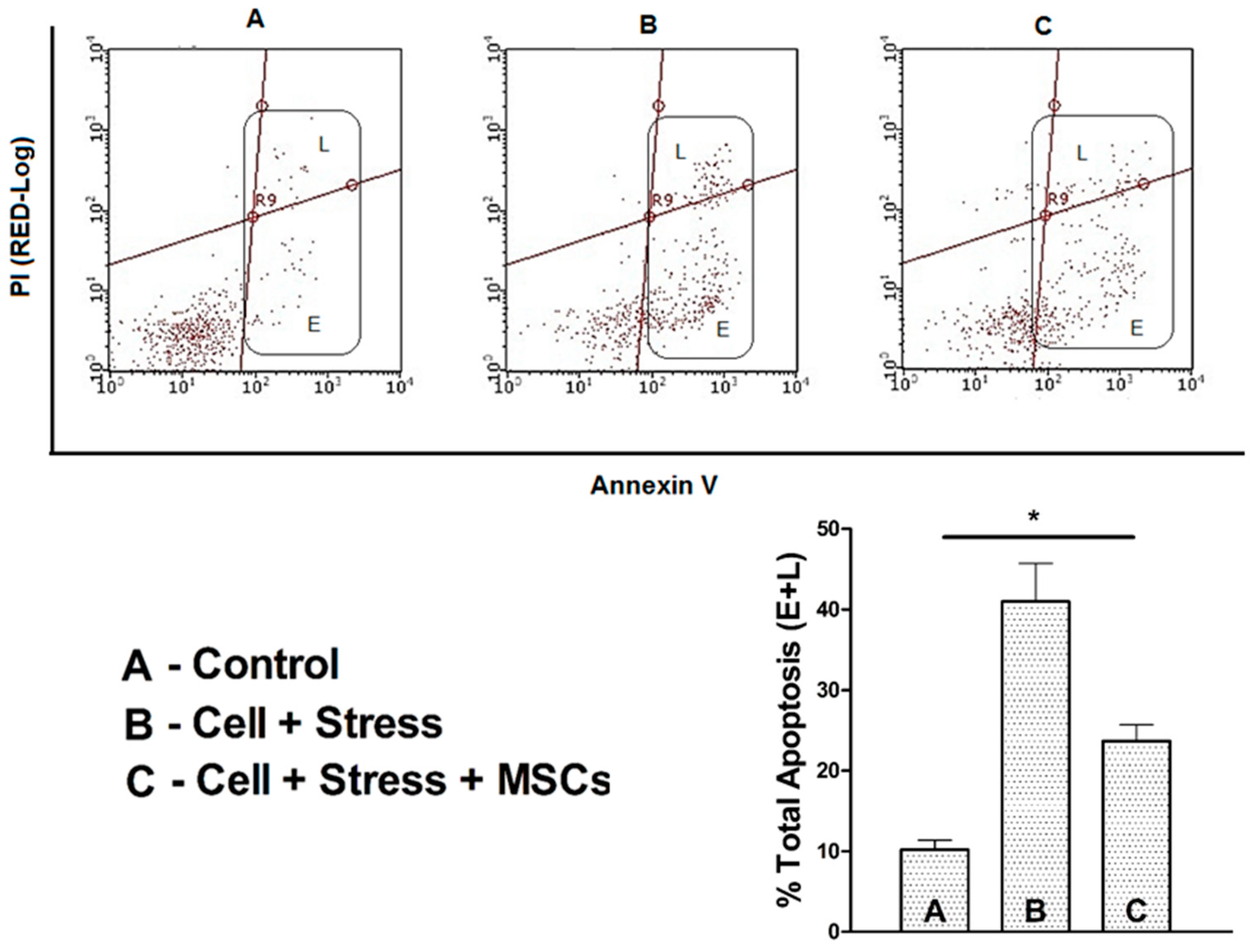 Cells 07 00250 g006 Cells 07 00250 g006