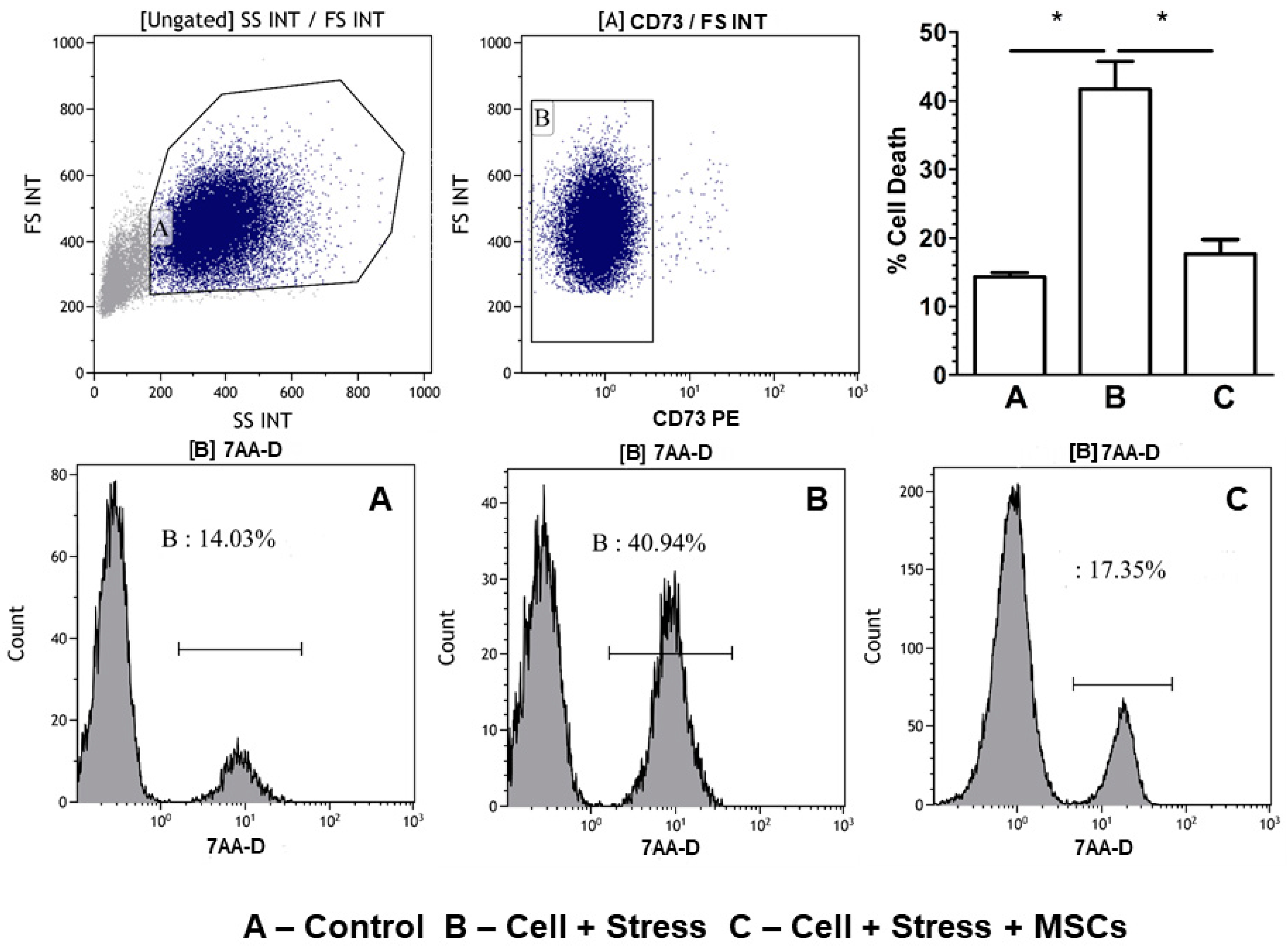 Cells 07 00250 g007 Cells 07 00250 g007
