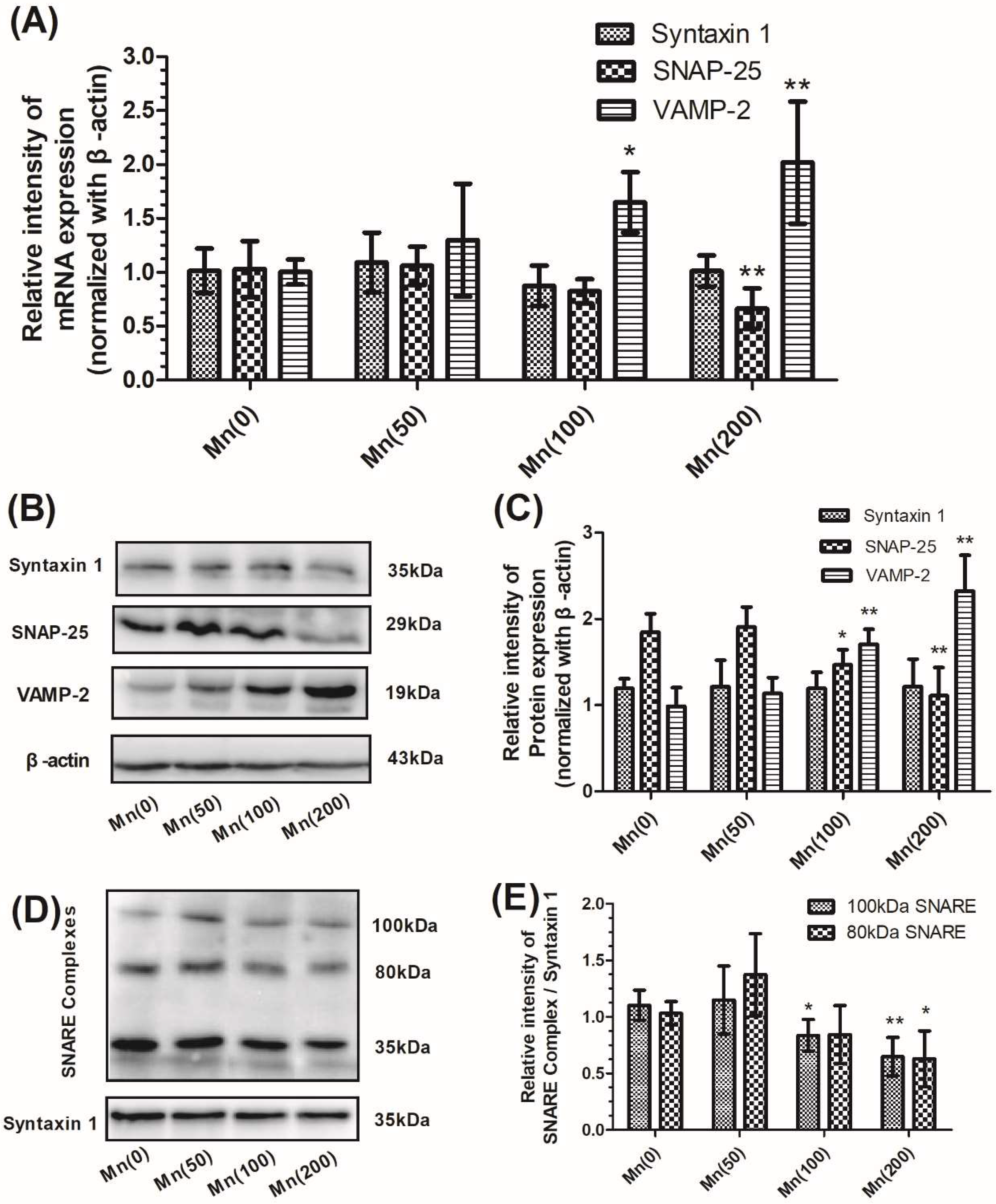 Cells 07 00258 g002 Cells 07 00258 g002