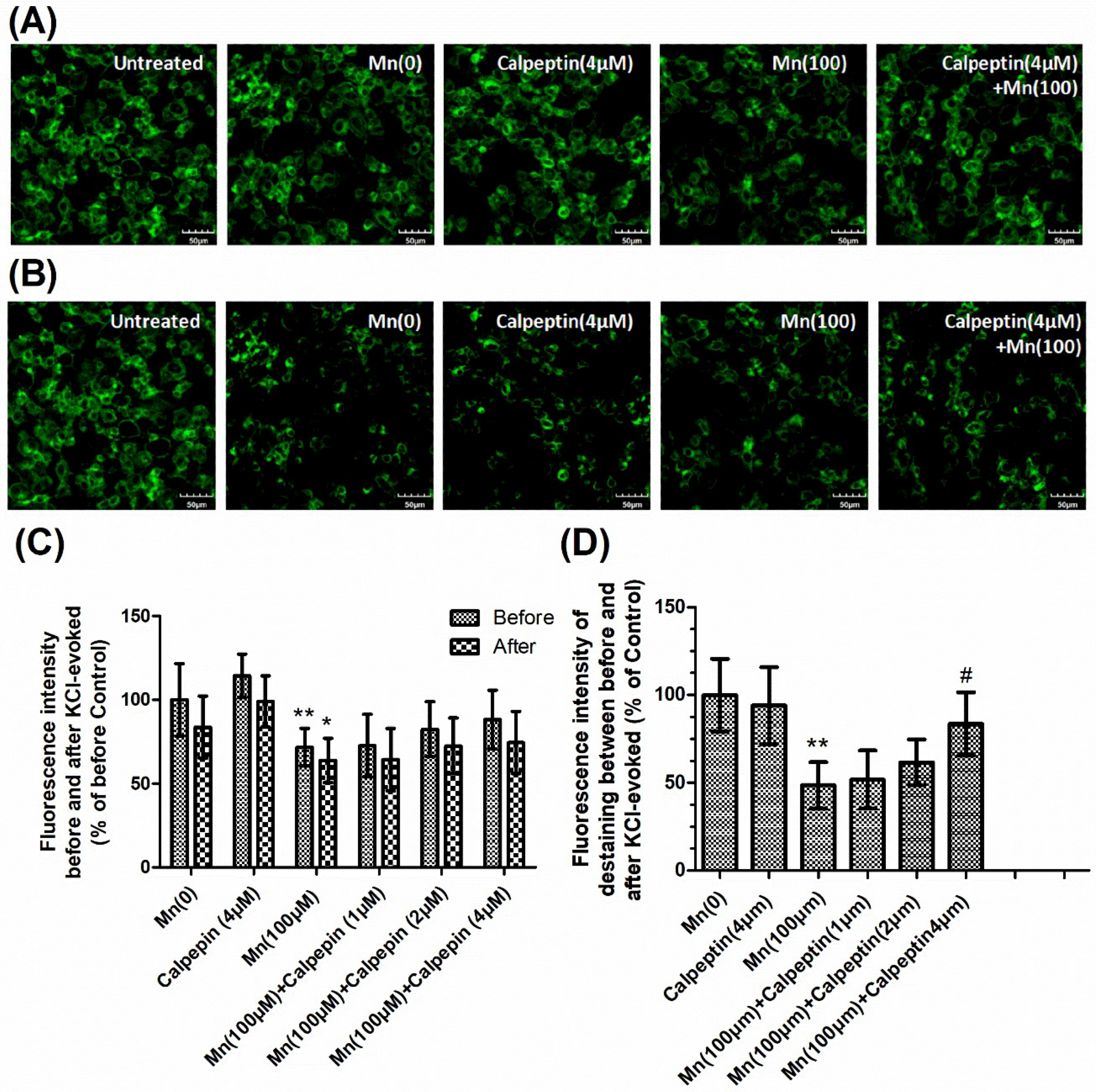 Cells 07 00258 g004 Cells 07 00258 g004