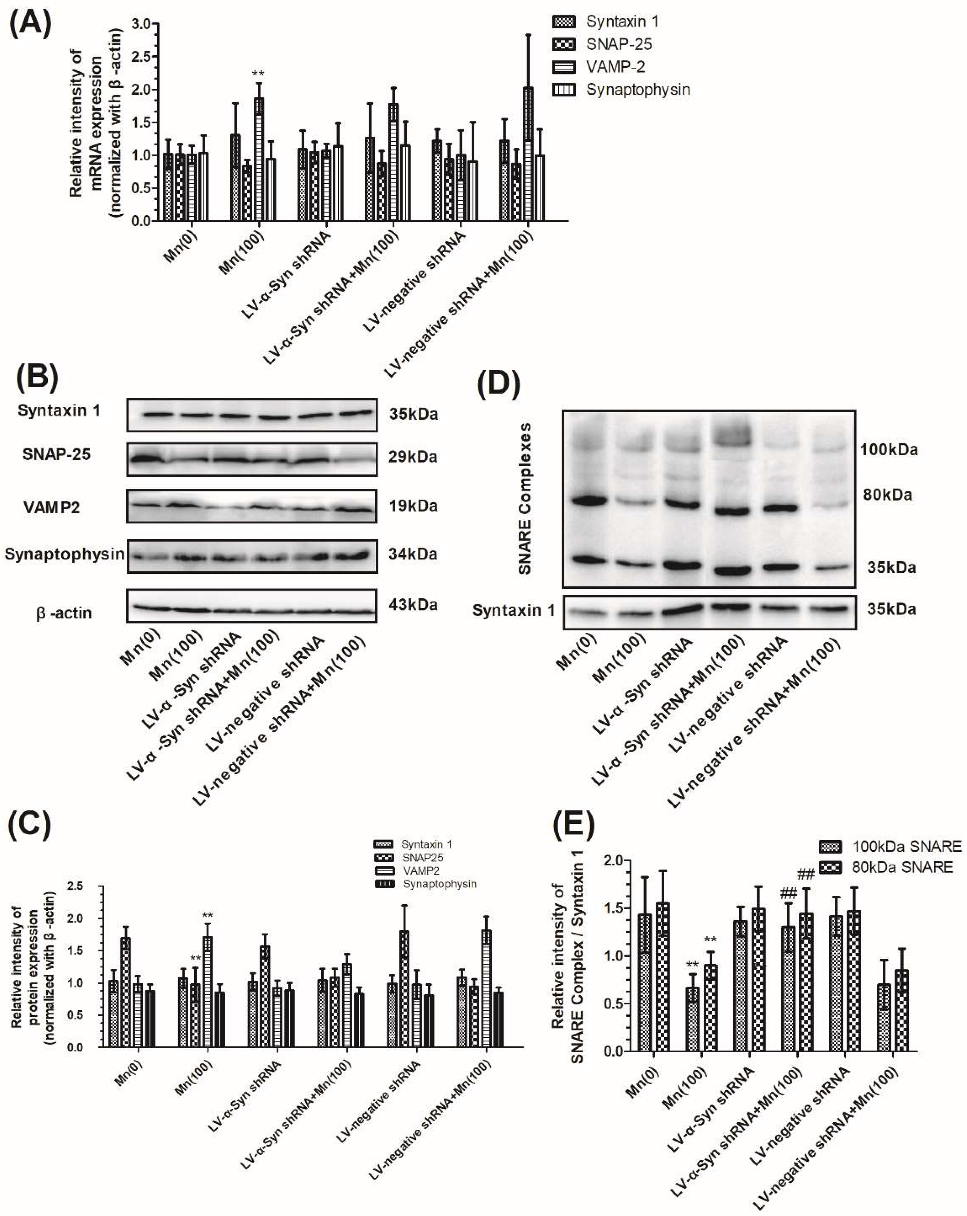 Cells 07 00258 g005 Cells 07 00258 g005