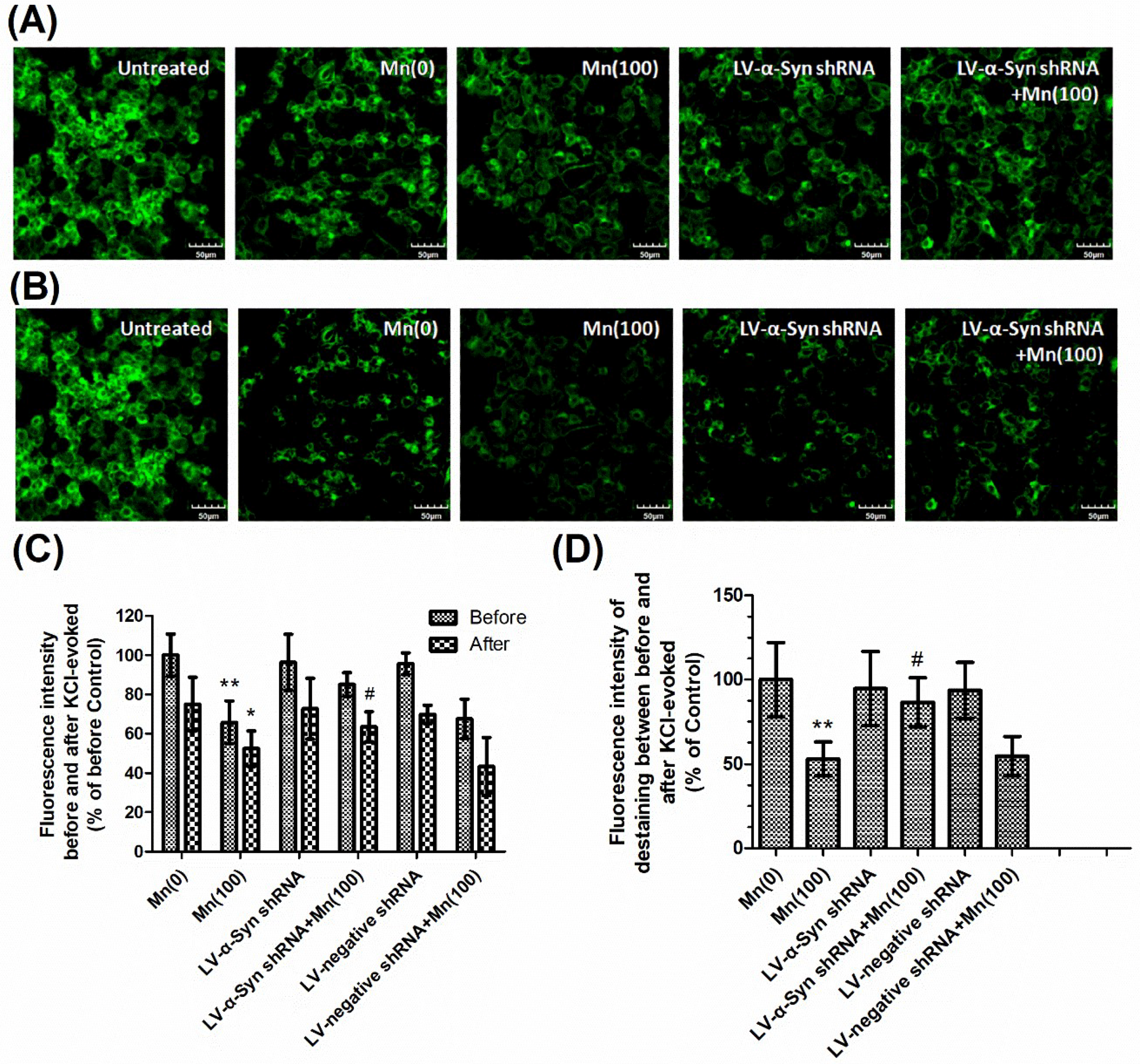 Cells 07 00258 g006 Cells 07 00258 g006