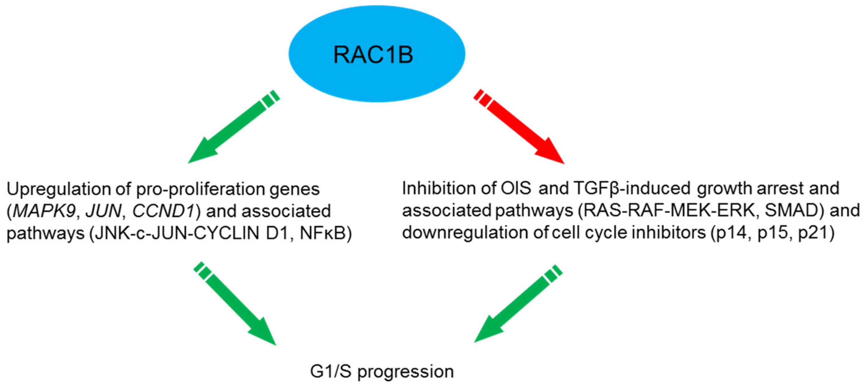 Cells 08 00021 g003 Cells 08 00021 g003