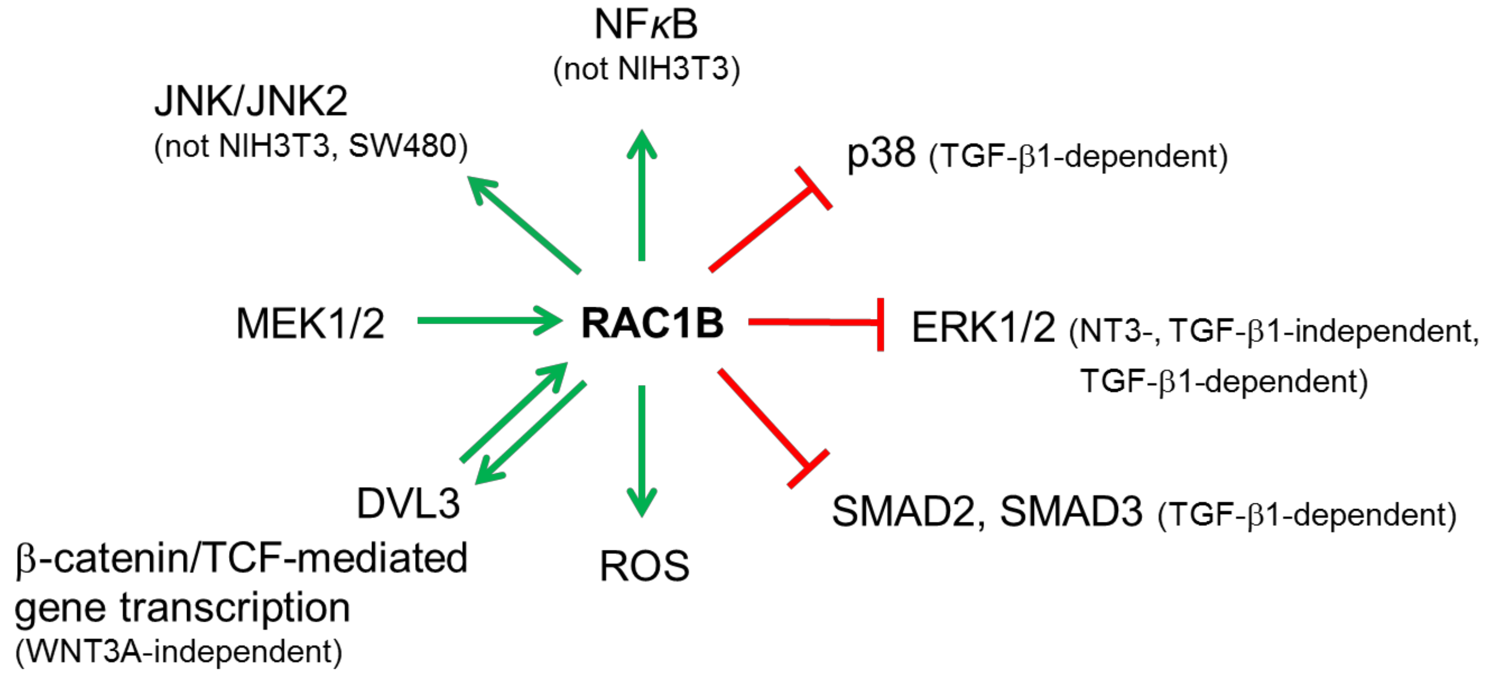 Cells 08 00021 g004 Cells 08 00021 g004