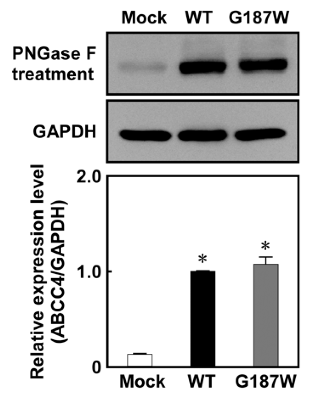 Cells 08 00039 g004 Cells 08 00039 g004