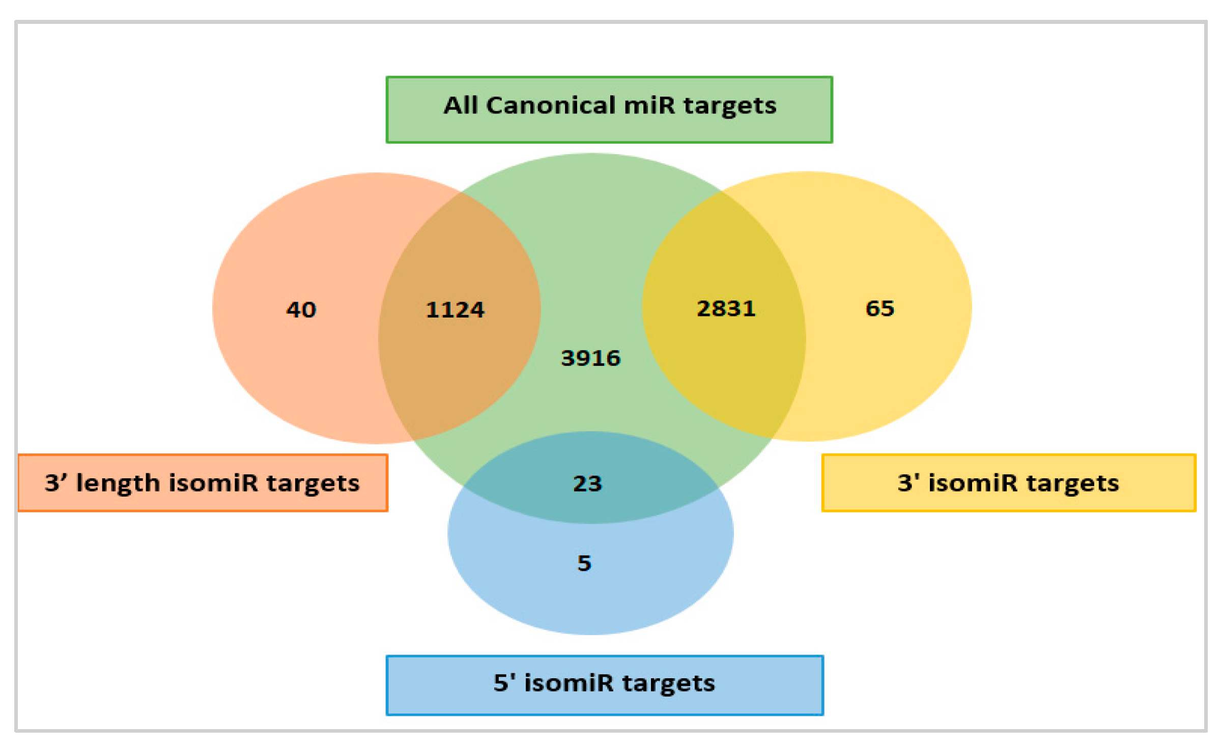 Cells 08 00042 g003 Cells 08 00042 g003