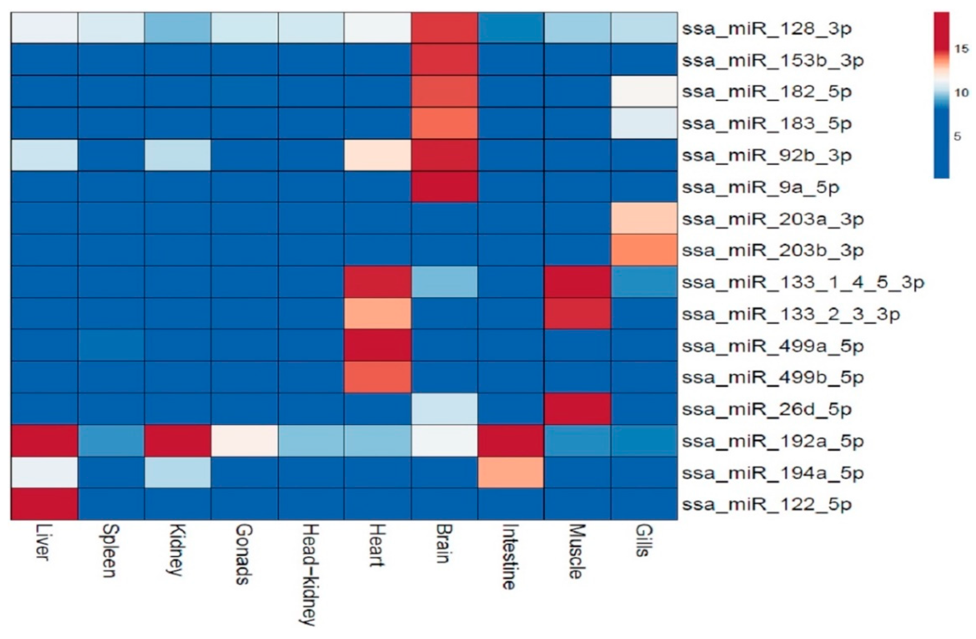 Cells 08 00042 g005 Cells 08 00042 g005