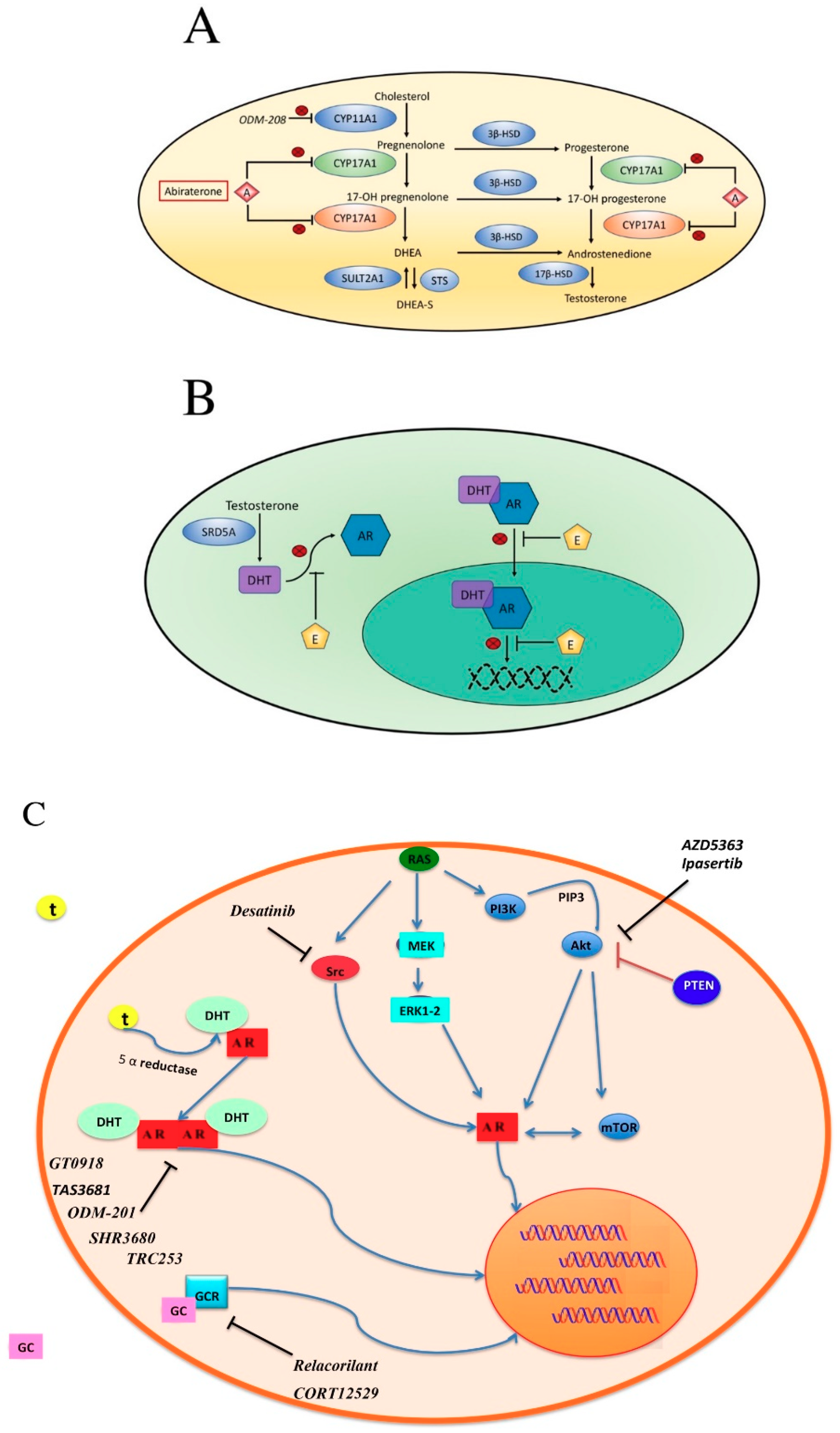Cells 08 00043 g002a