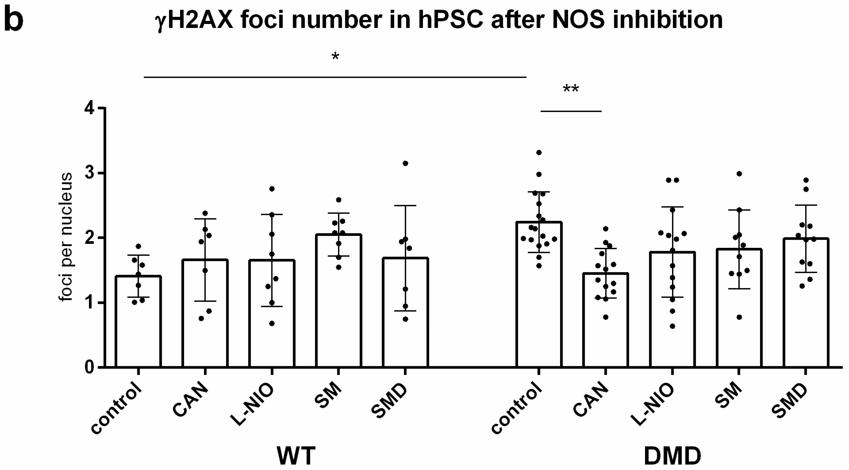 Cells 08 00053 g006b