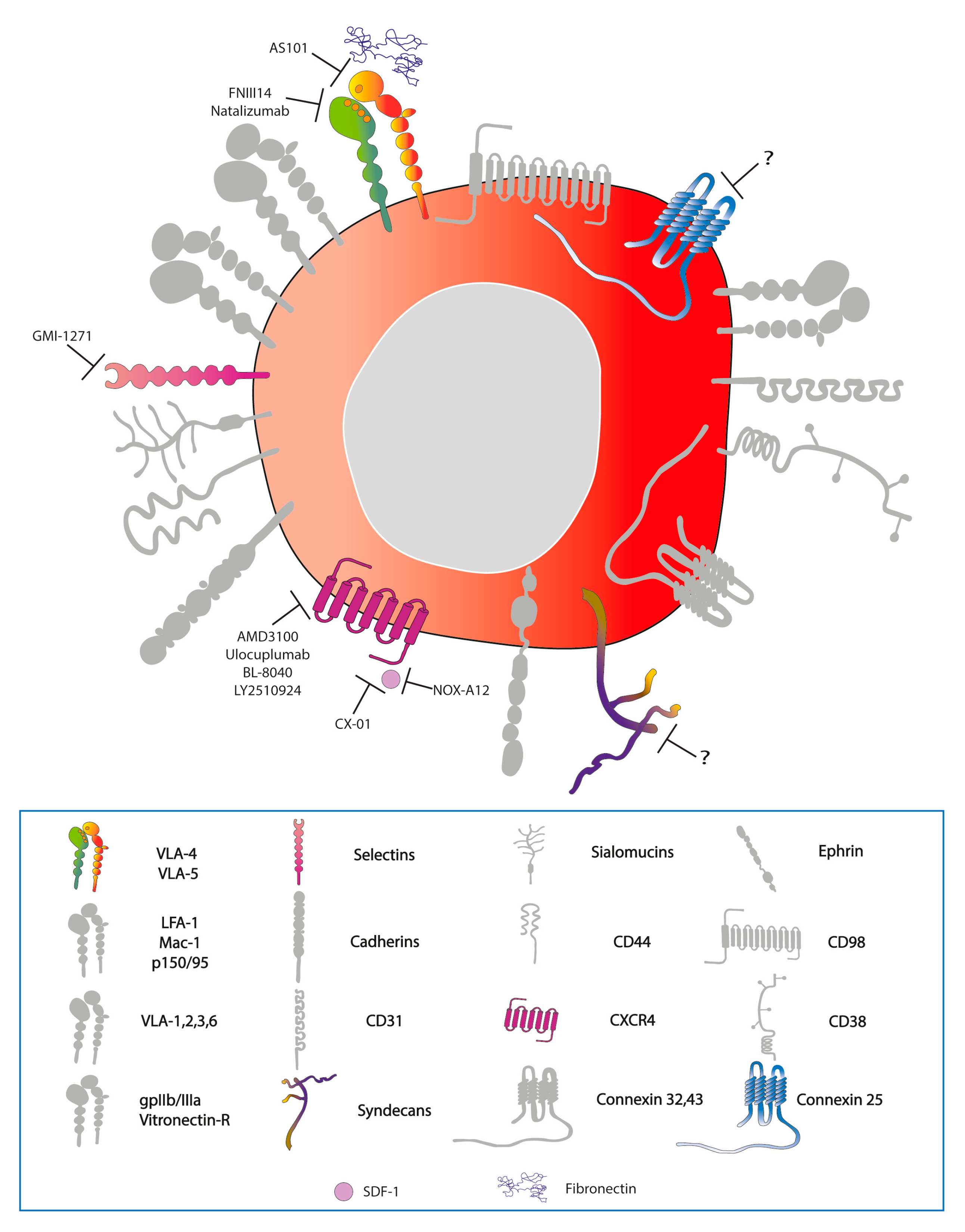 Cells 08 00066 g003
