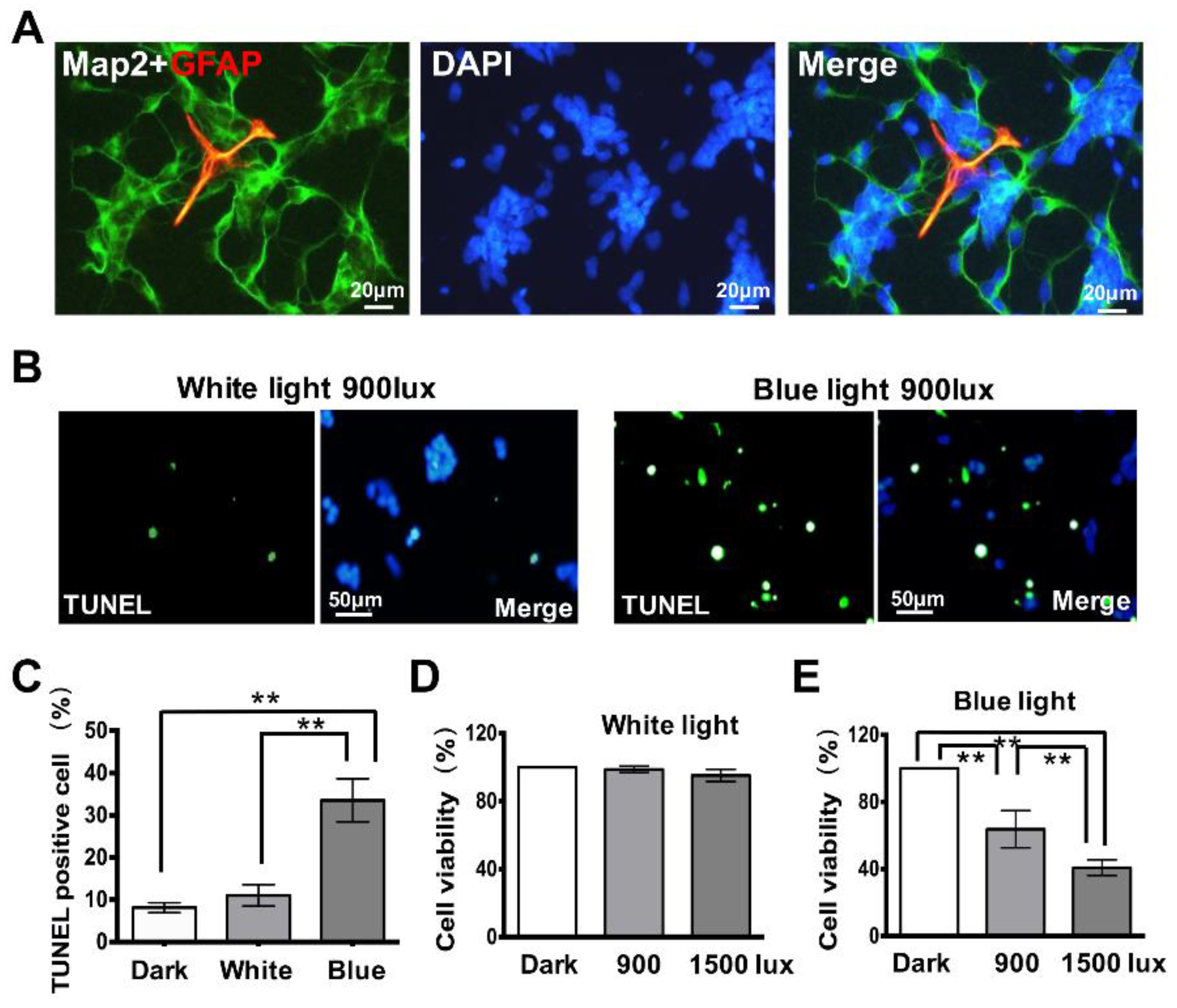 Cells 08 00068 g001 Cells 08 00068 g001