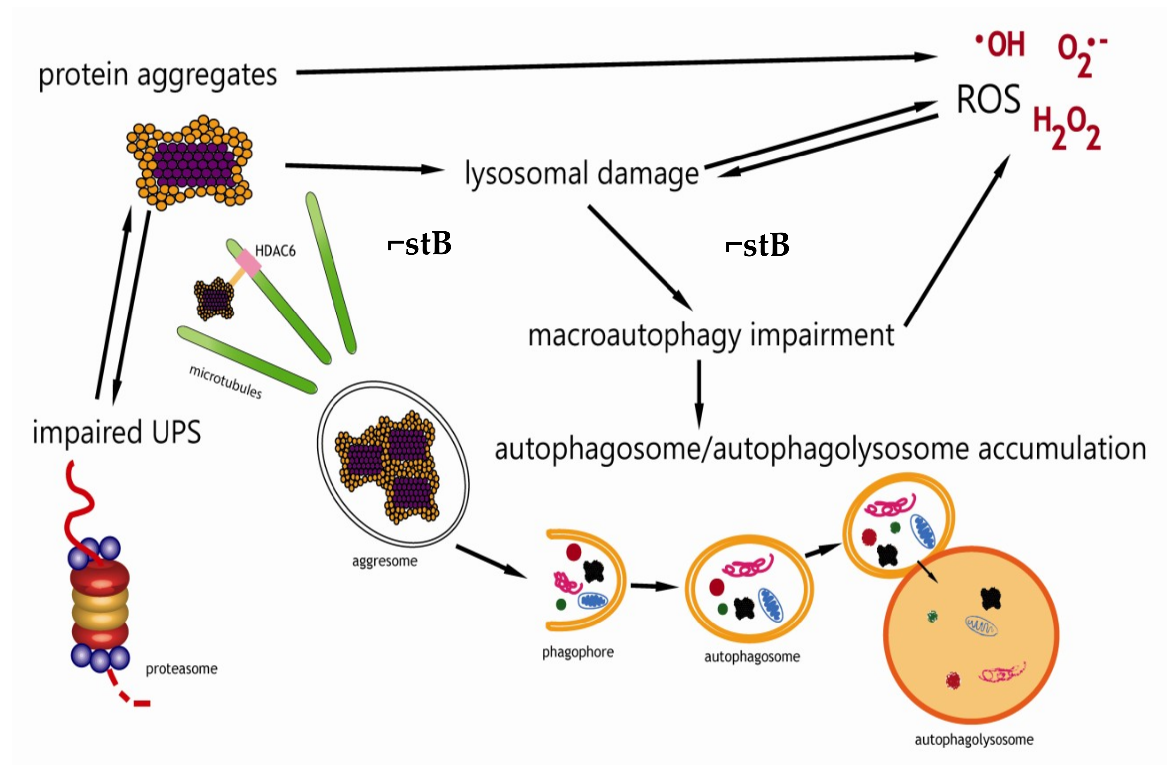 Cells 08 00070 sch001