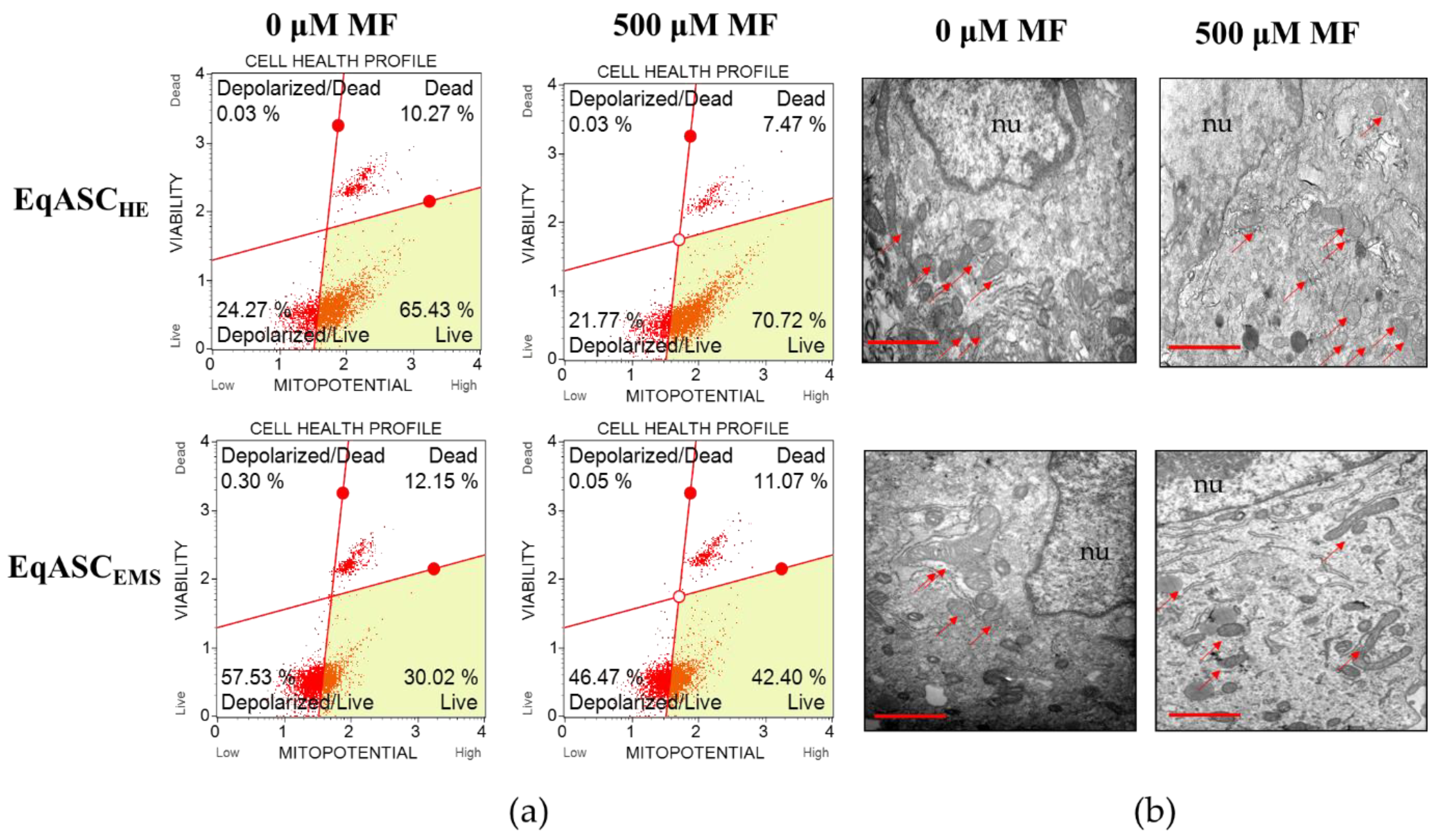 Cells 08 00080 g003a