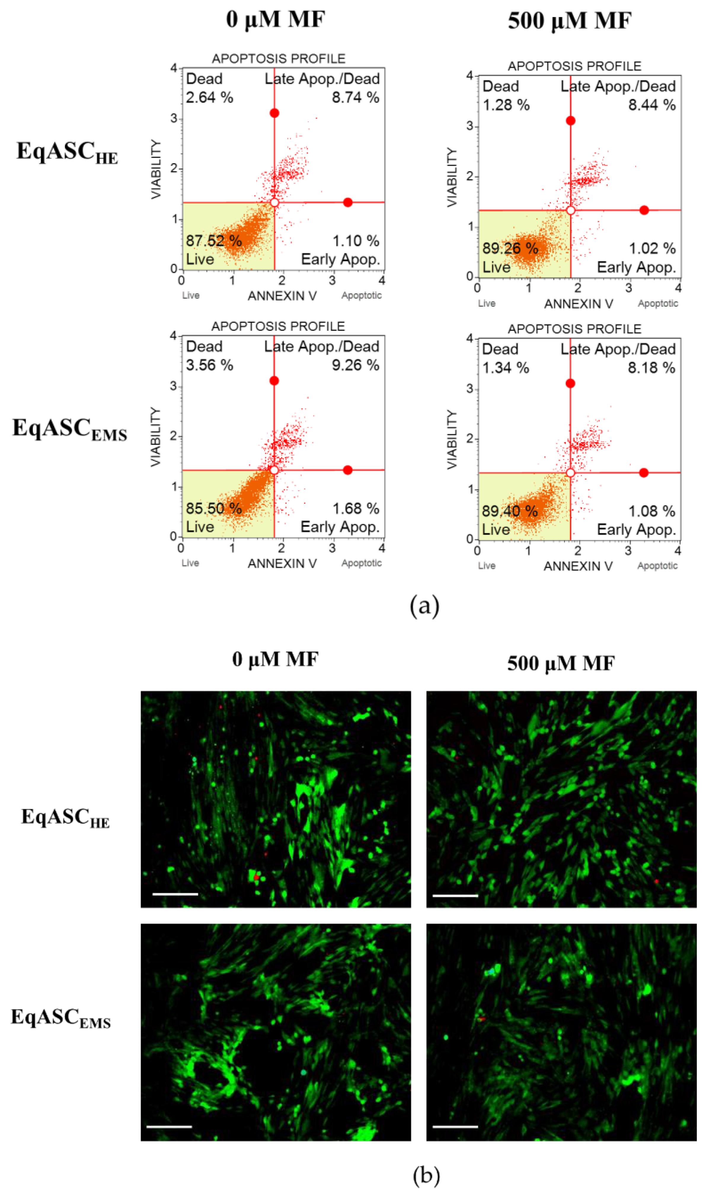 Cells 08 00080 g004a