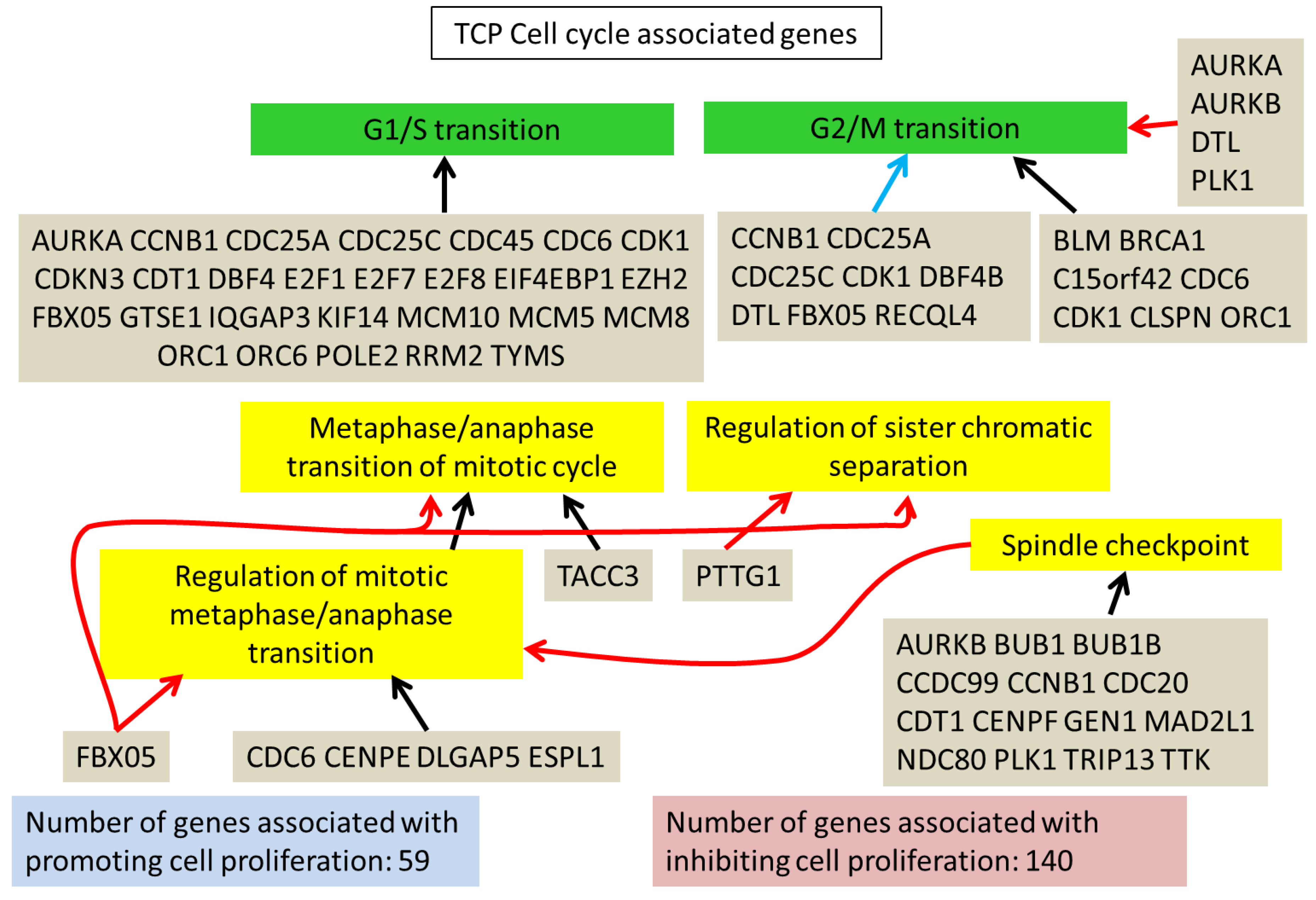 Cells 08 00085 g003