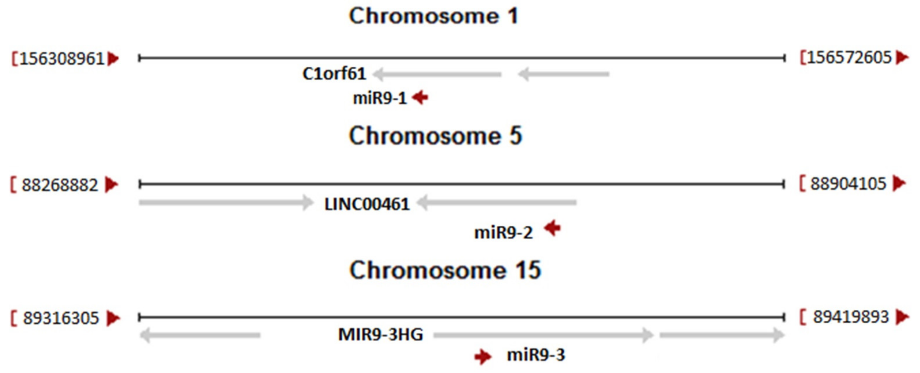 Cells 08 00088 g002 Cells 08 00088 g002