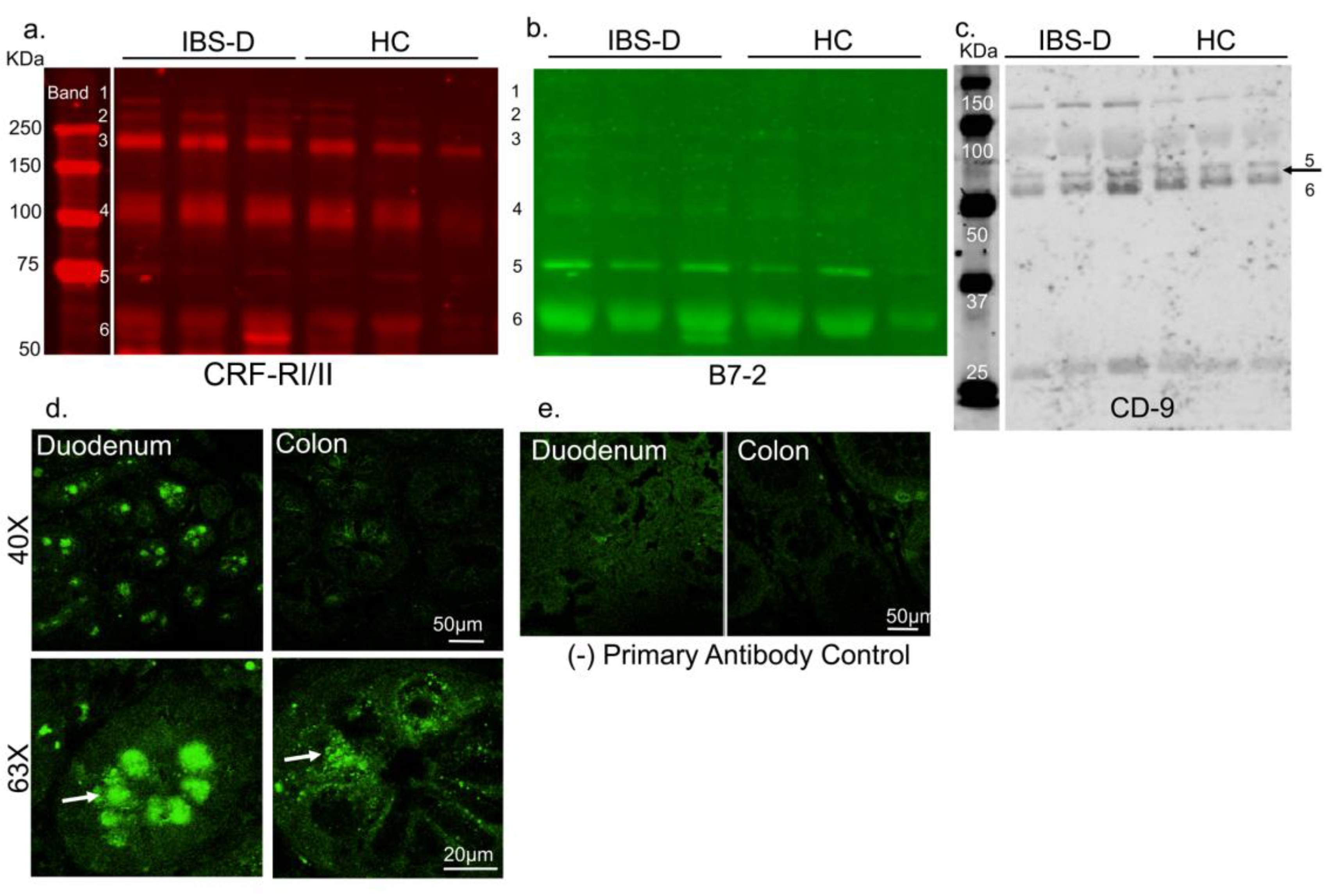 Cells 08 00101 g001 Cells 08 00101 g001