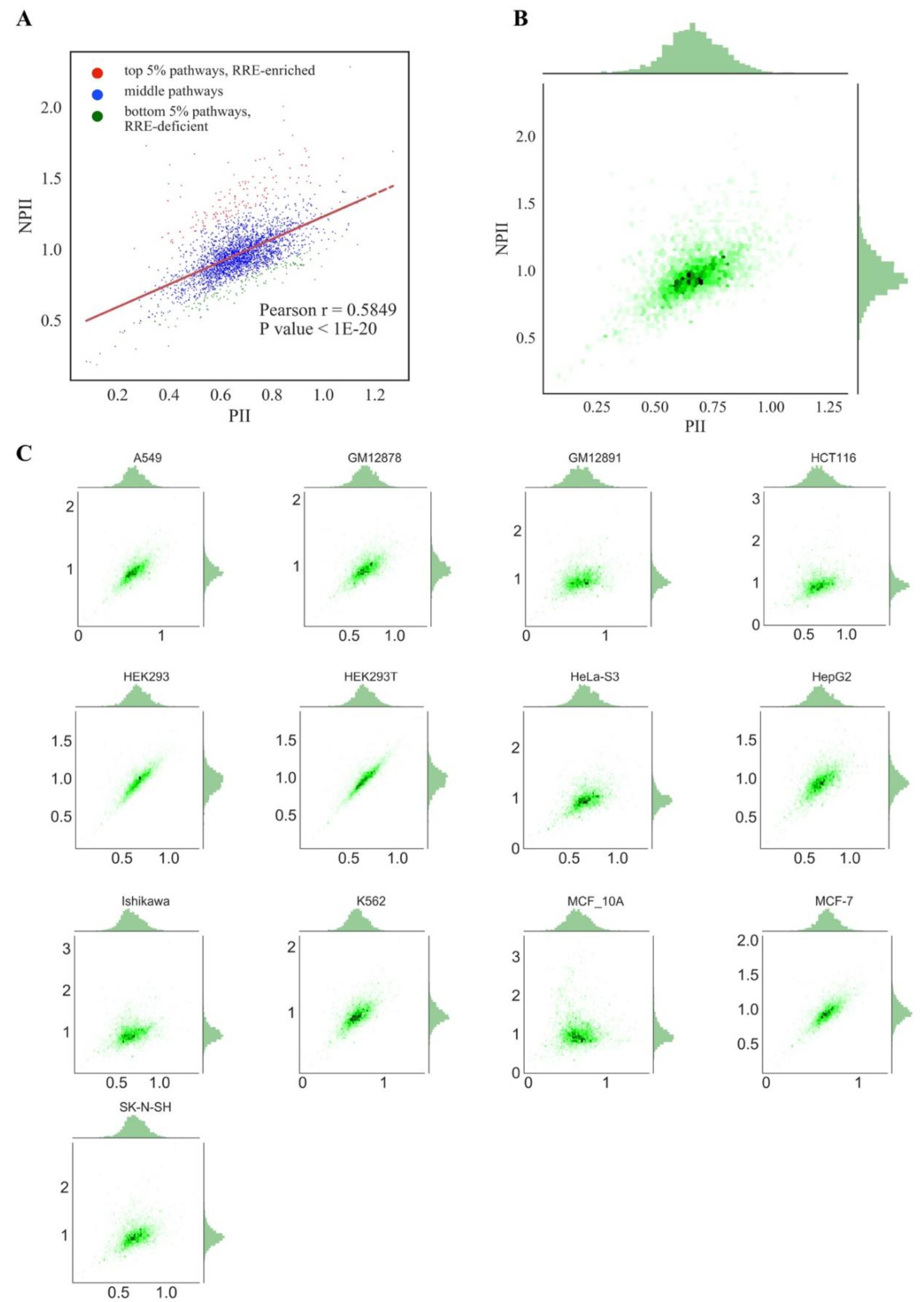 Cells 08 00130 g004