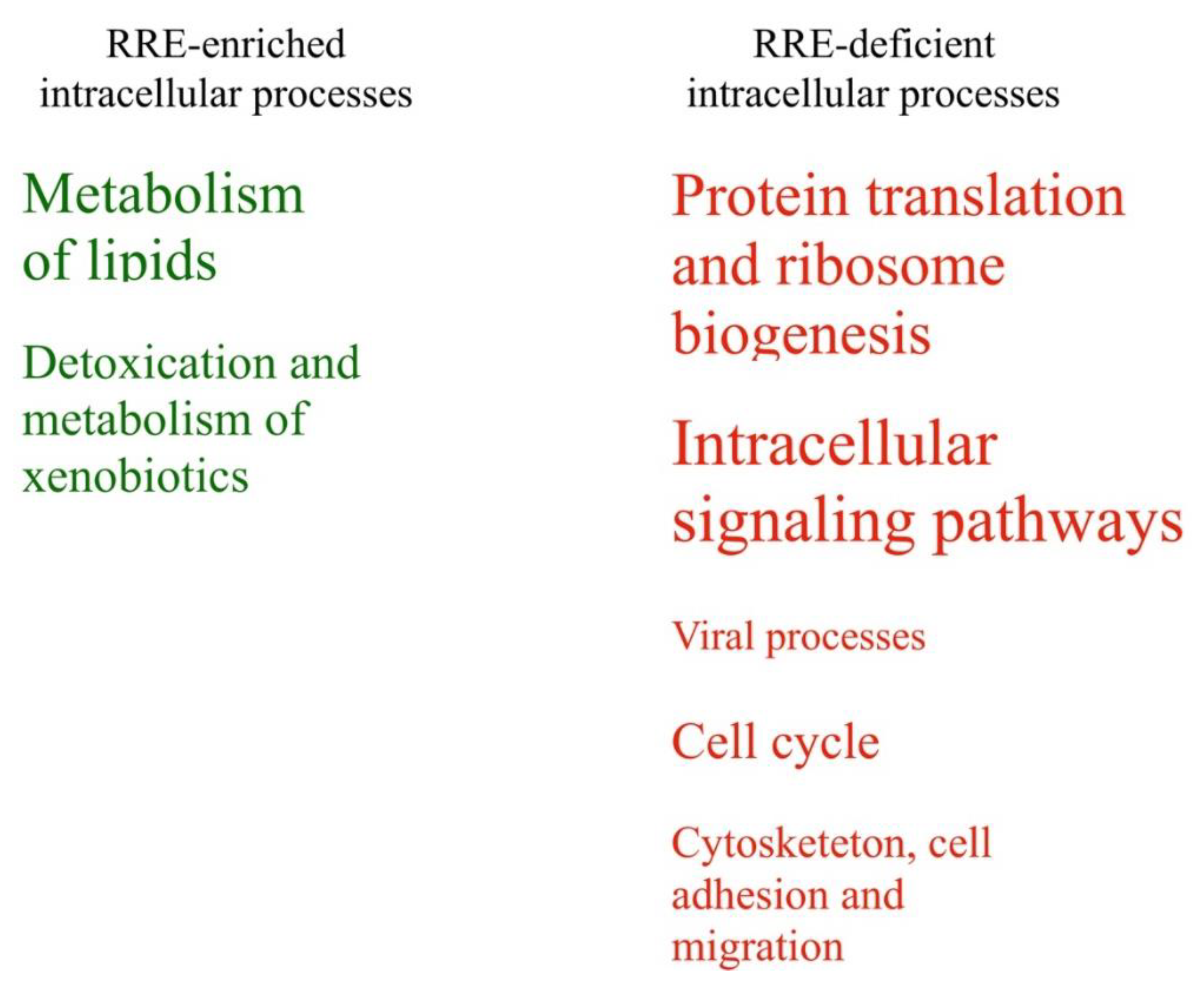 Cells 08 00130 g010