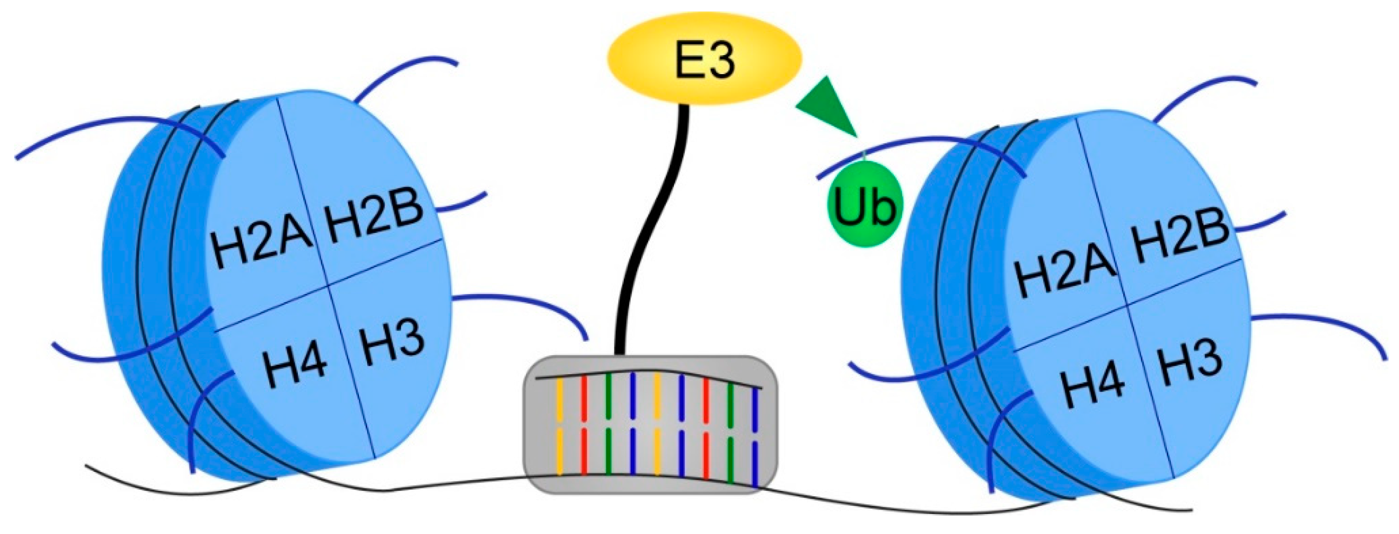 Cells 08 00165 g004 Cells 08 00165 g004