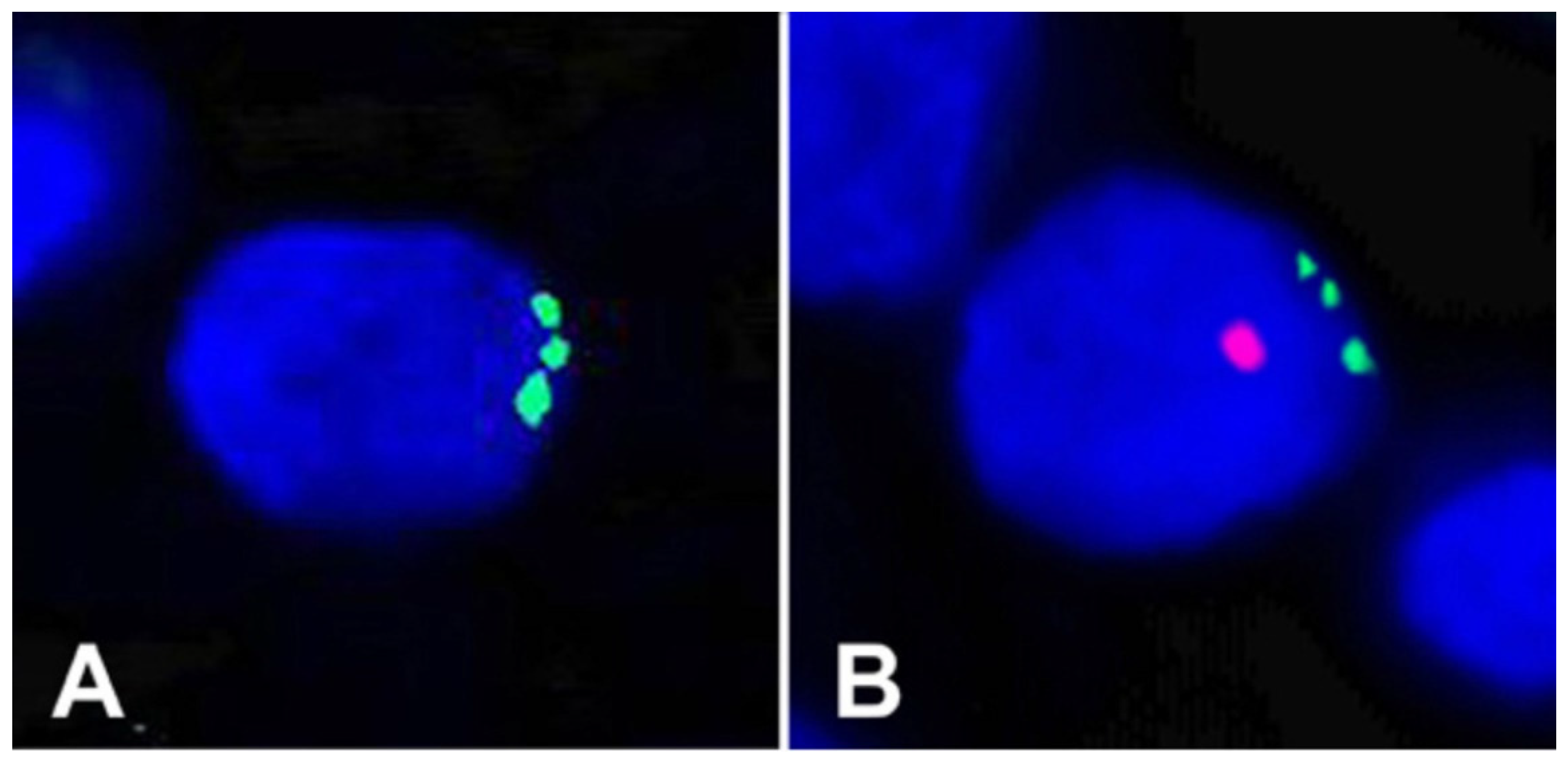 Cells 08 00170 g001 Cells 08 00170 g001