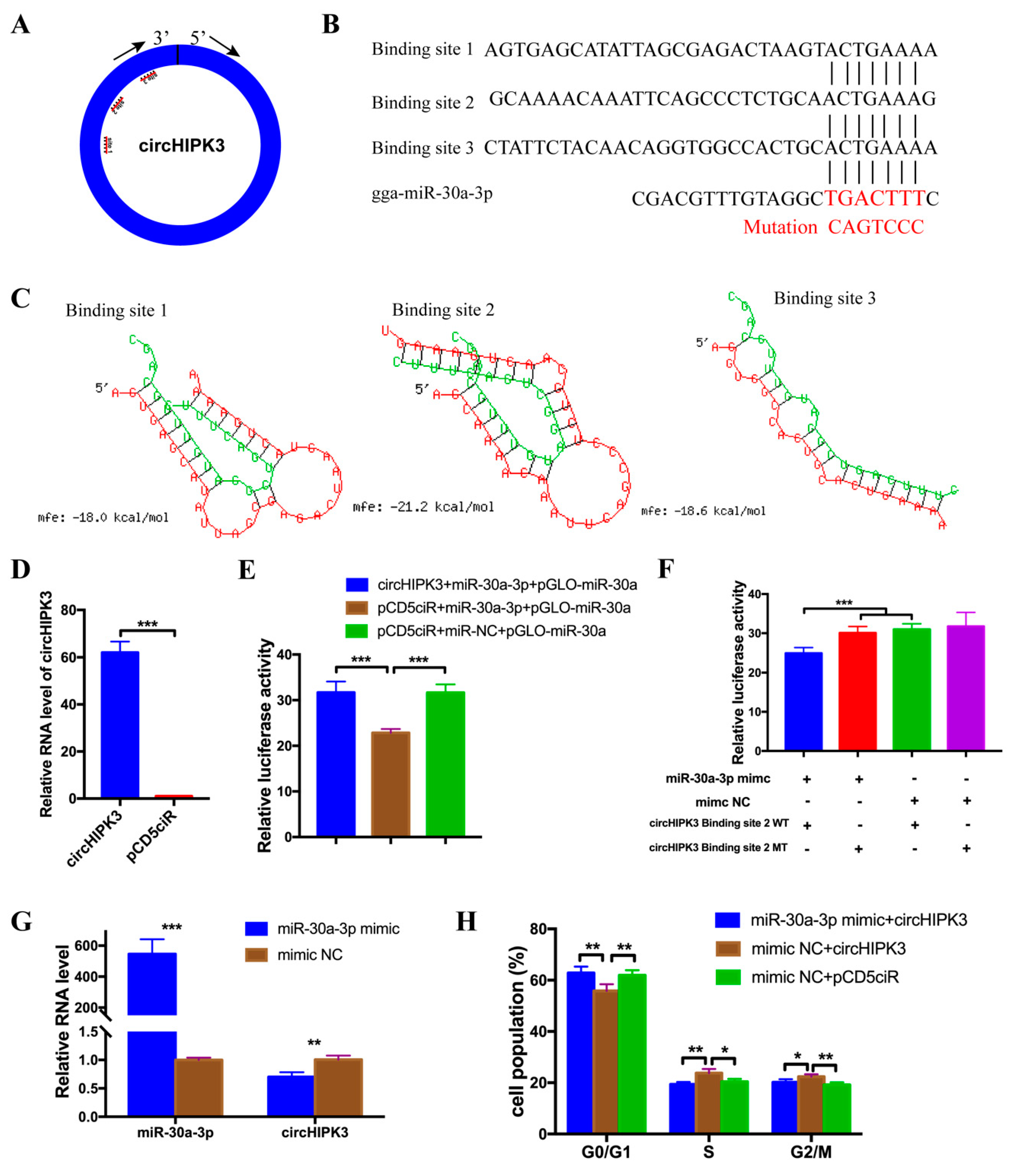 Cells 08 00177 g002 Cells 08 00177 g002