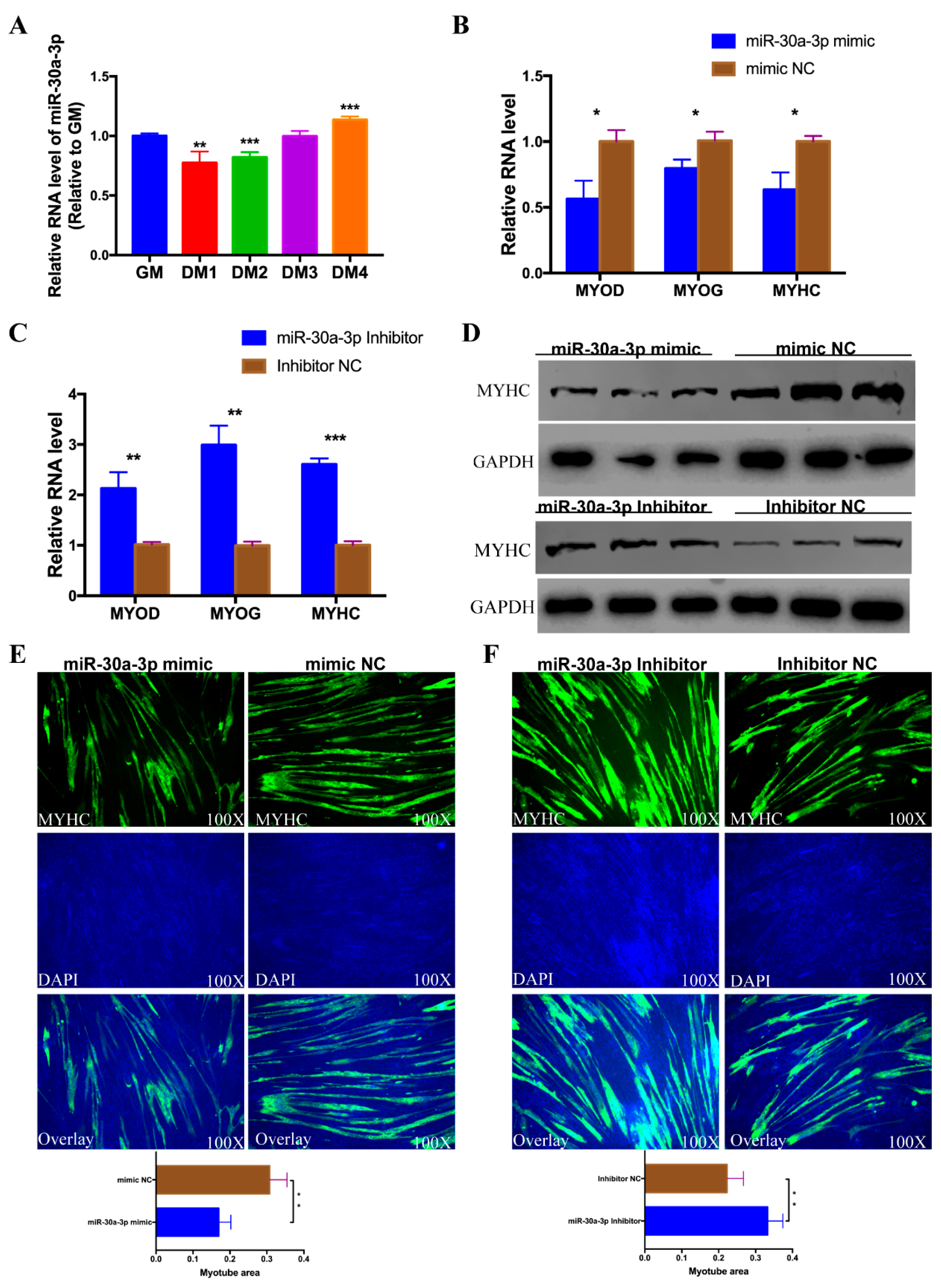 Cells 08 00177 g005 Cells 08 00177 g005