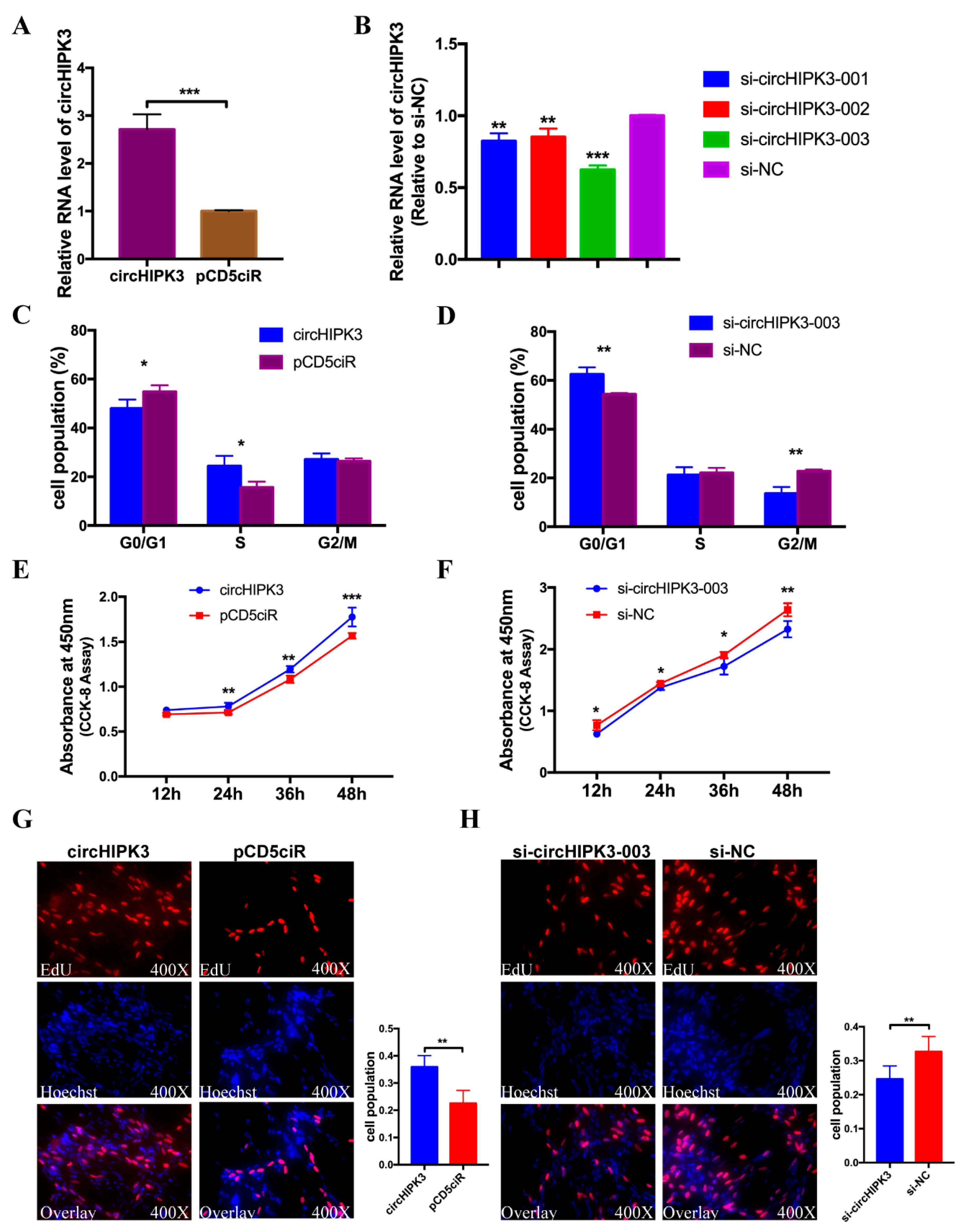 Cells 08 00177 g006 Cells 08 00177 g006