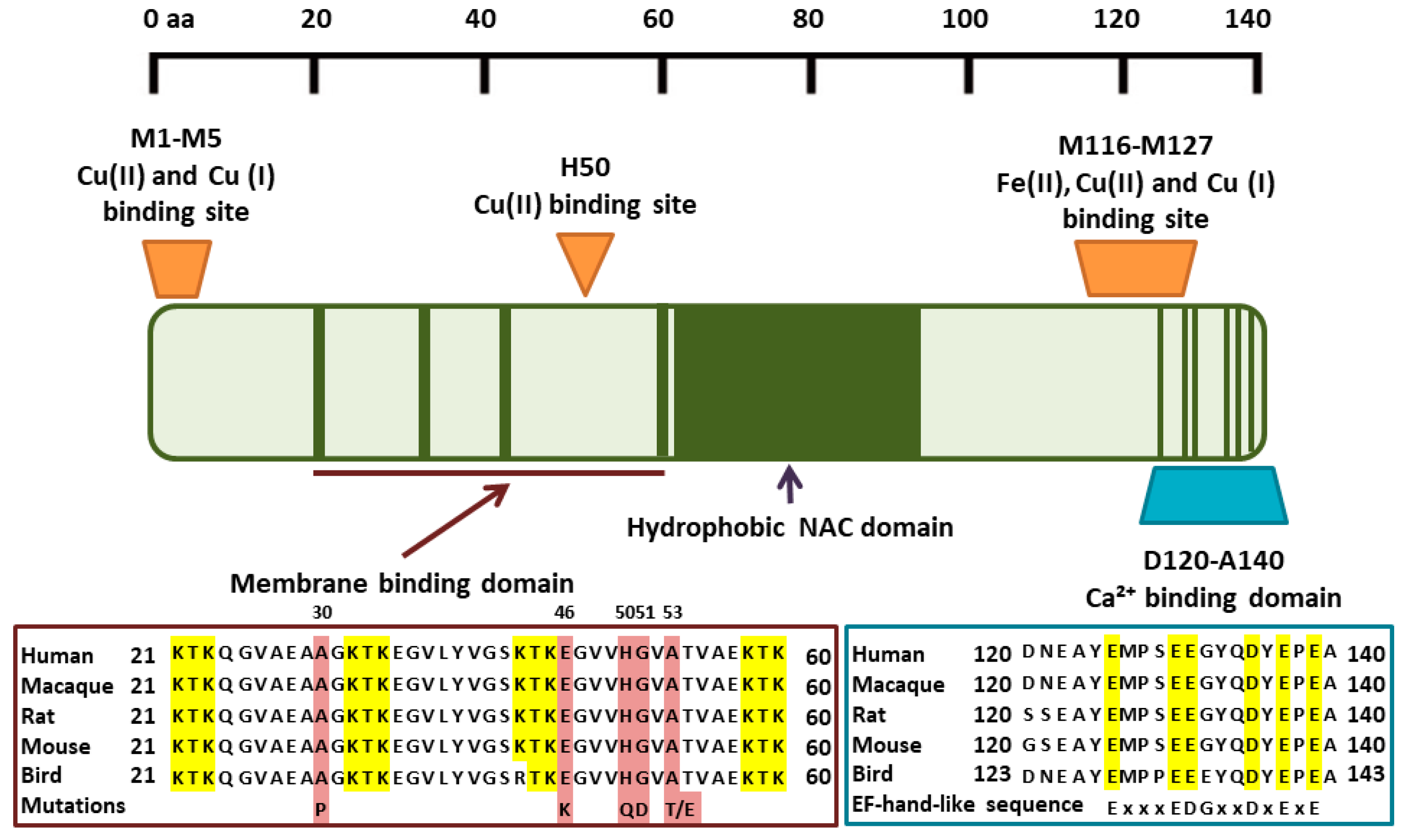 Cells 08 00179 g001 Cells 08 00179 g001