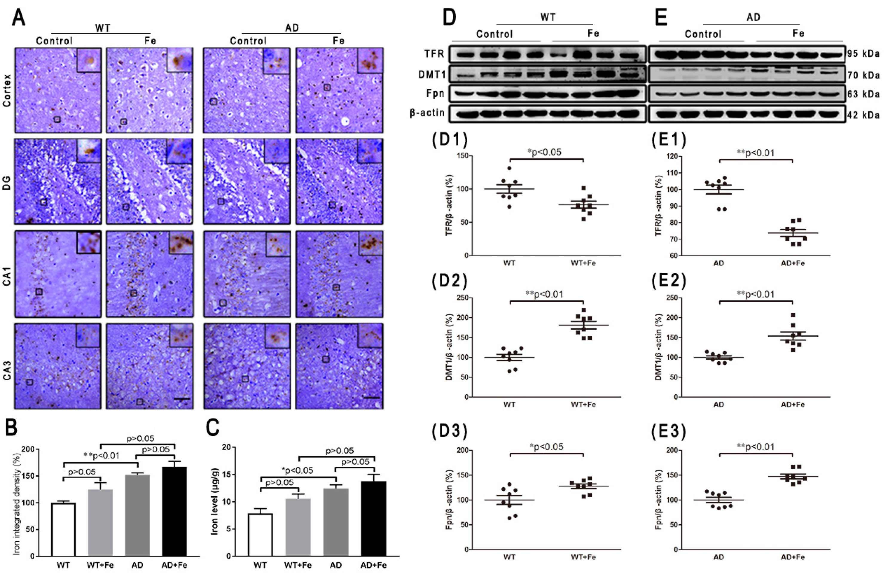 Cells 08 00198 g001