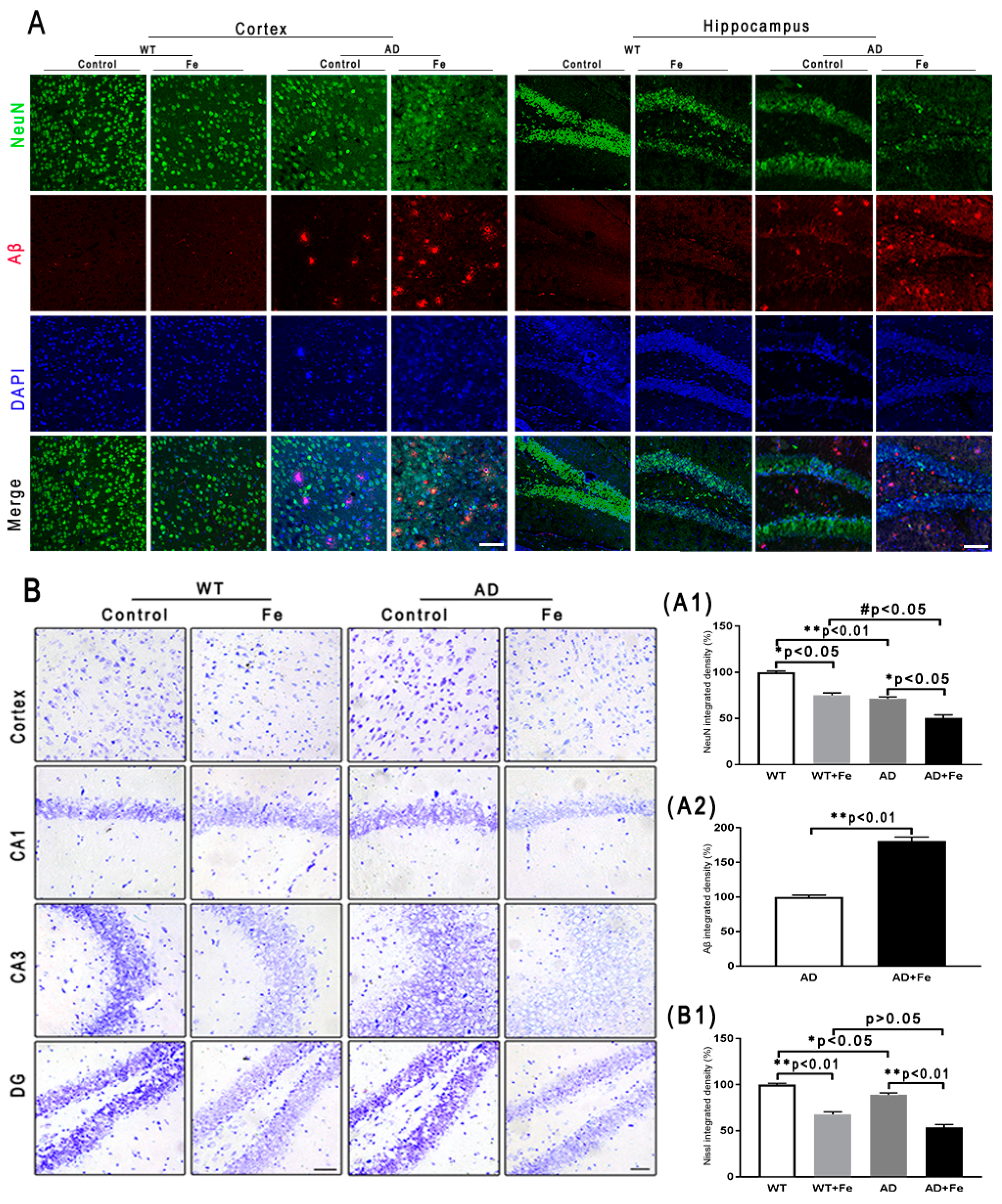 Cells 08 00198 g002