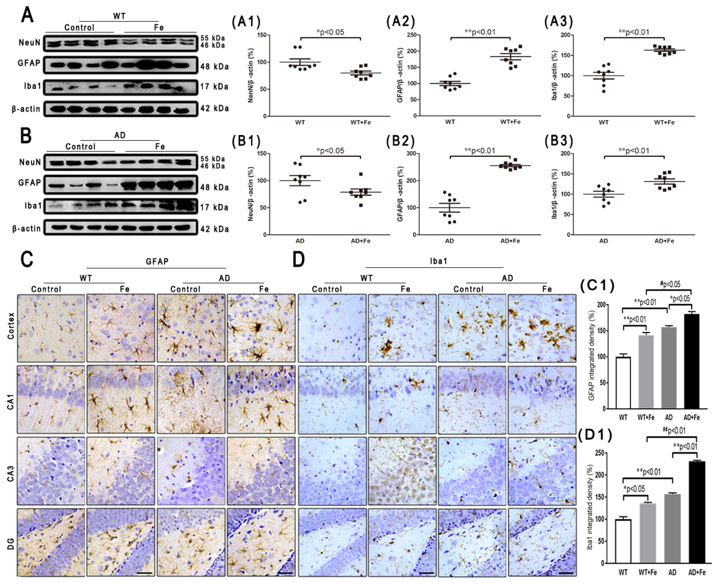 Cells 08 00198 g003