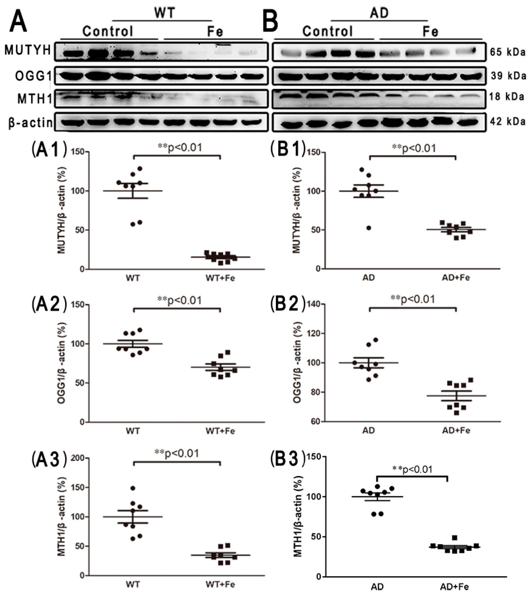 Cells 08 00198 g005
