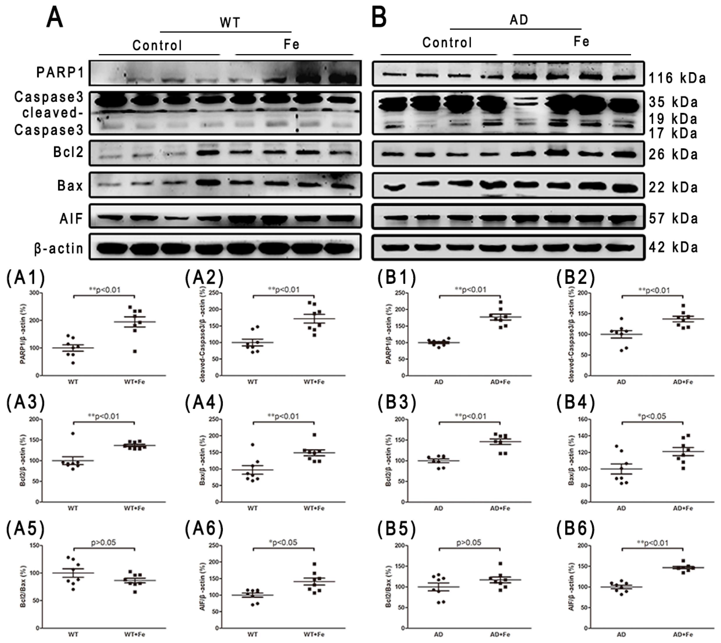 Cells 08 00198 g006