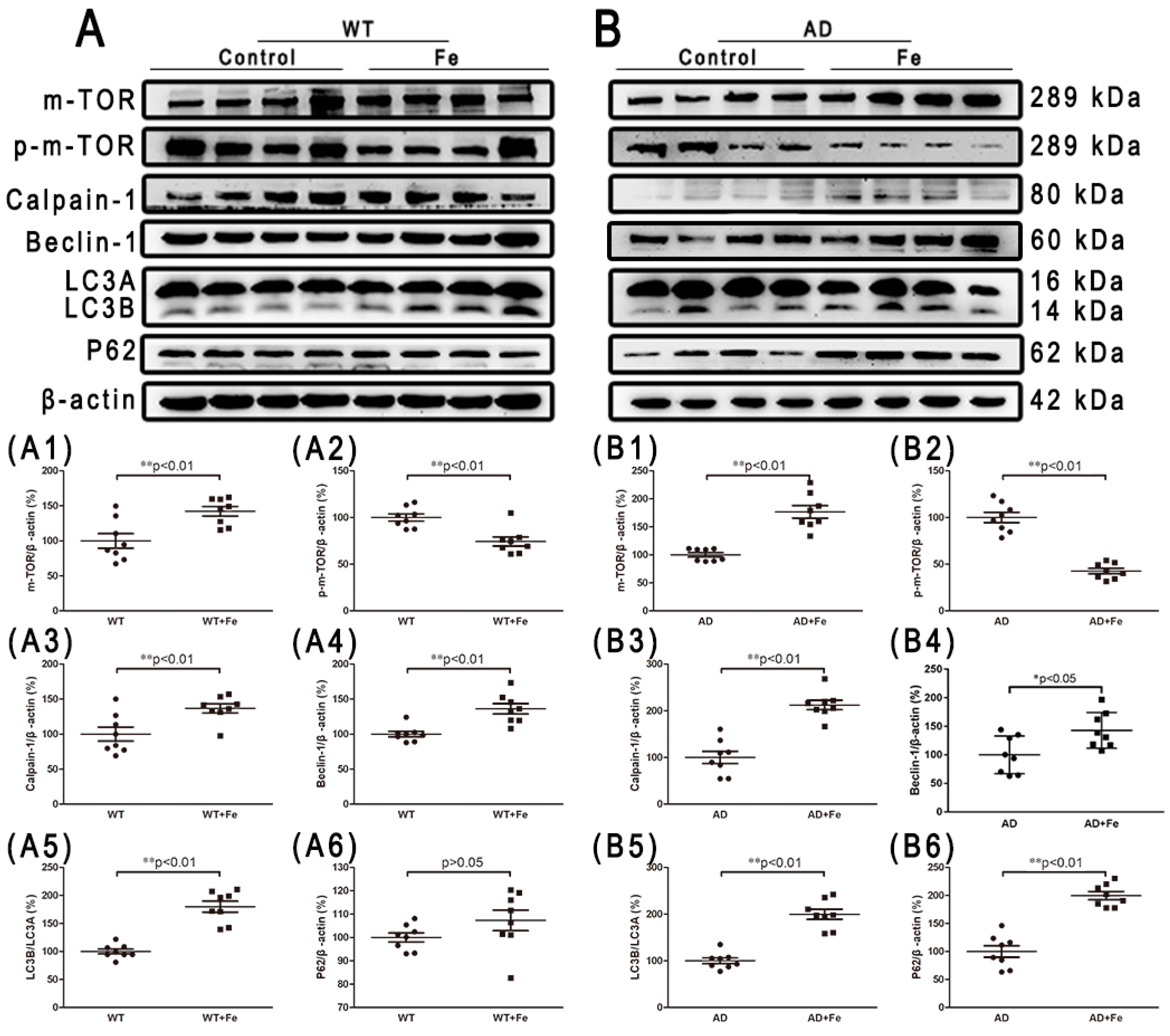 Cells 08 00198 g007