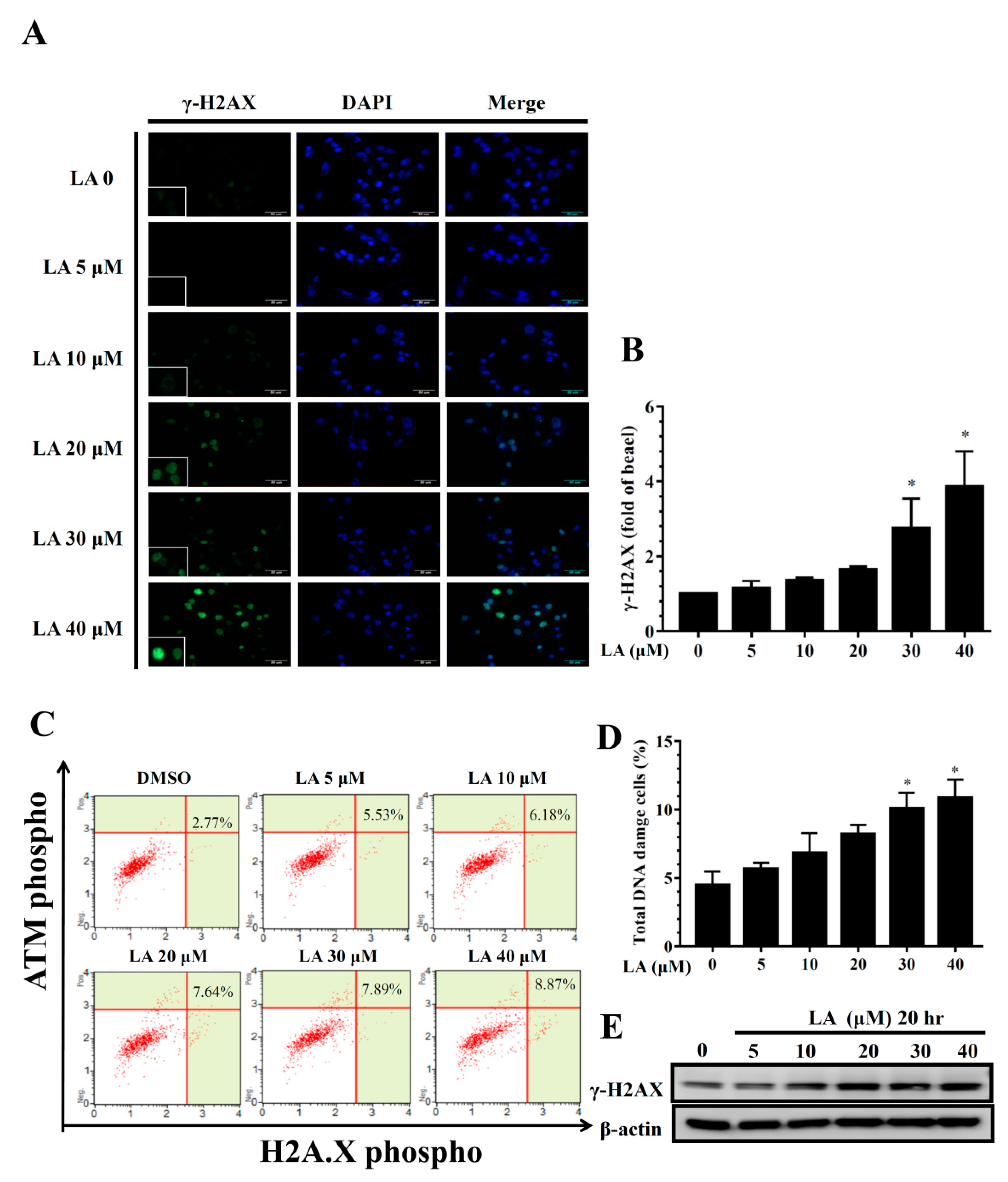 Cells 08 00218 g008