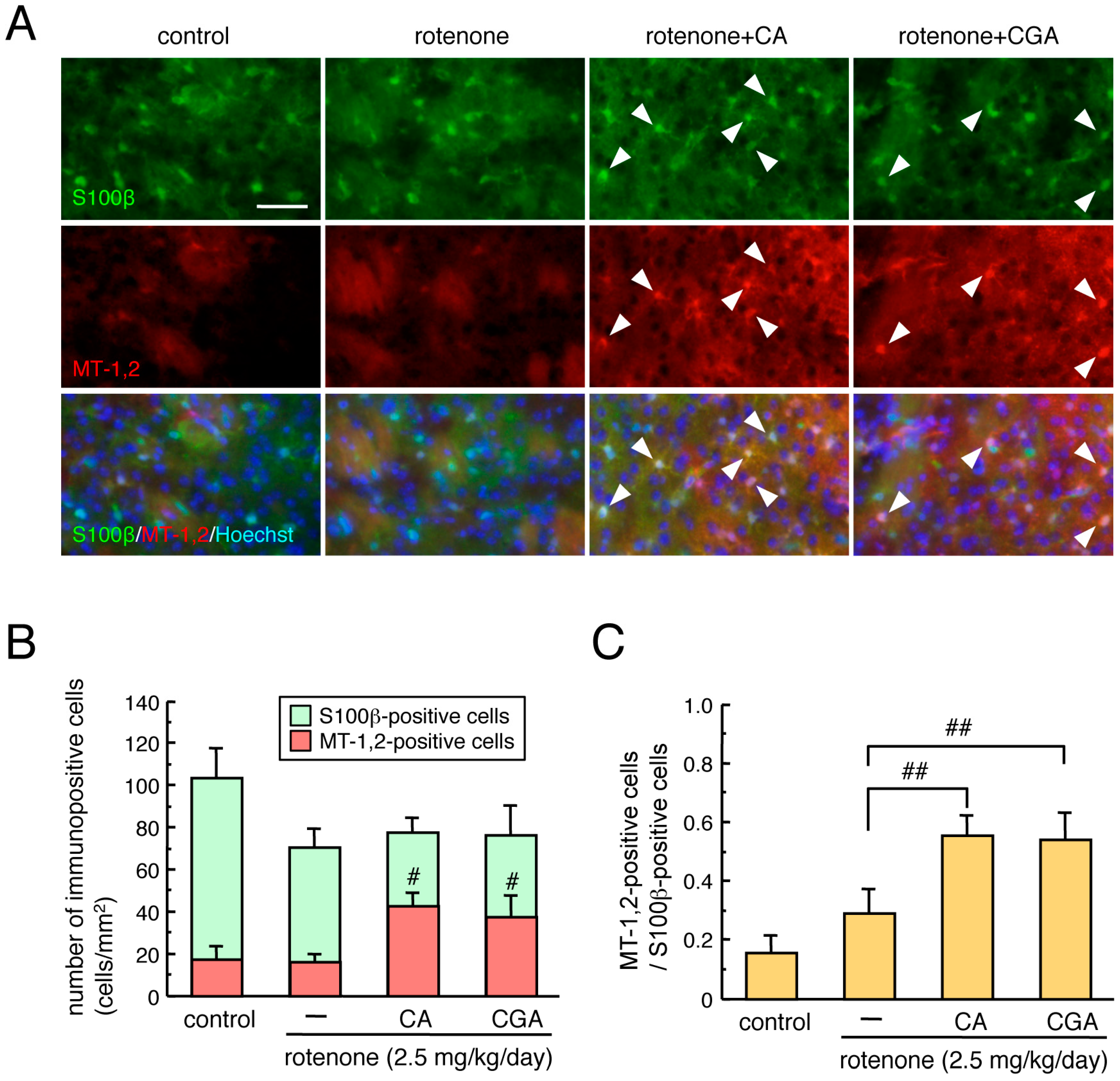 Cells 08 00221 g002 Cells 08 00221 g002