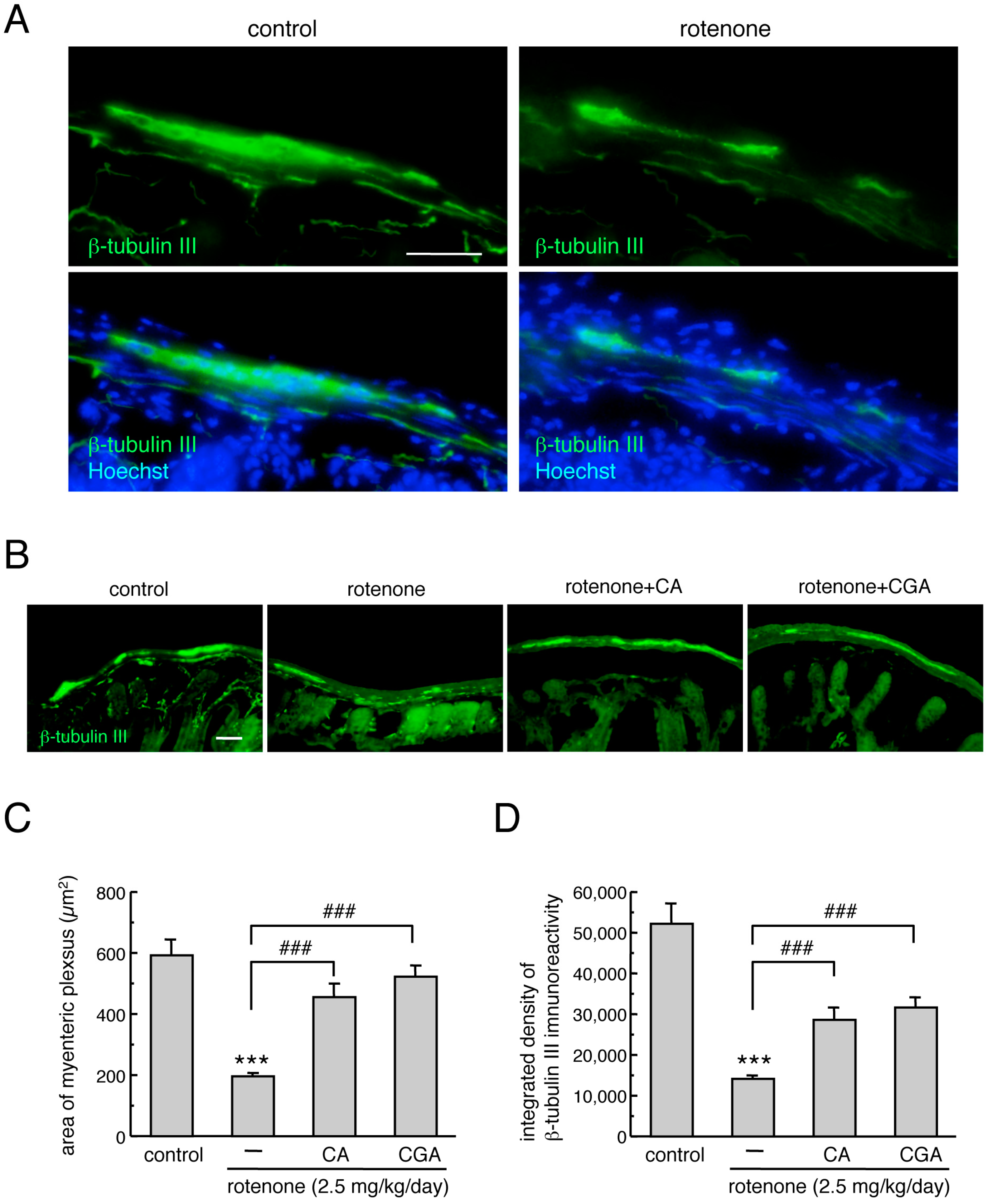 Cells 08 00221 g003 Cells 08 00221 g003