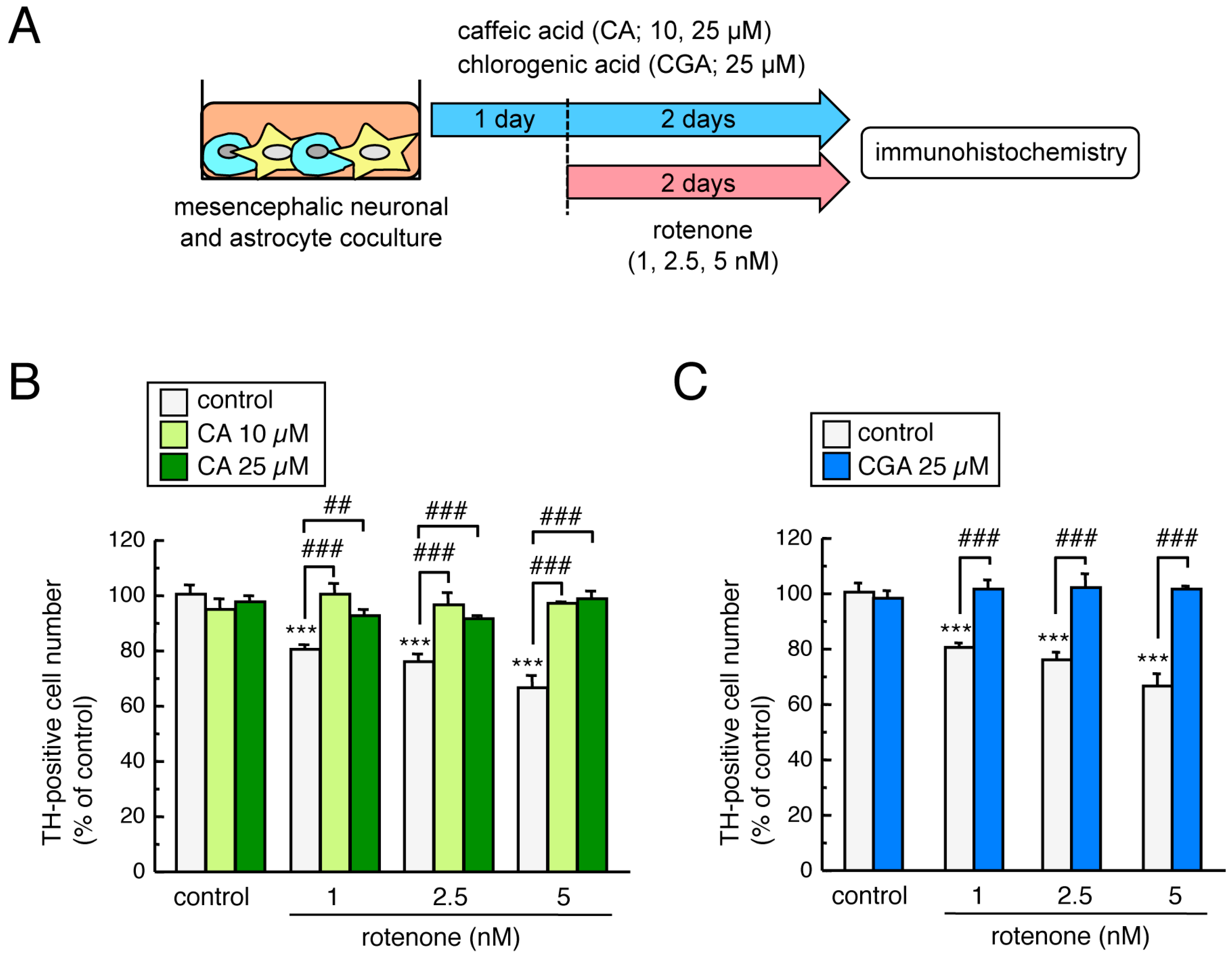 Cells 08 00221 g005 Cells 08 00221 g005