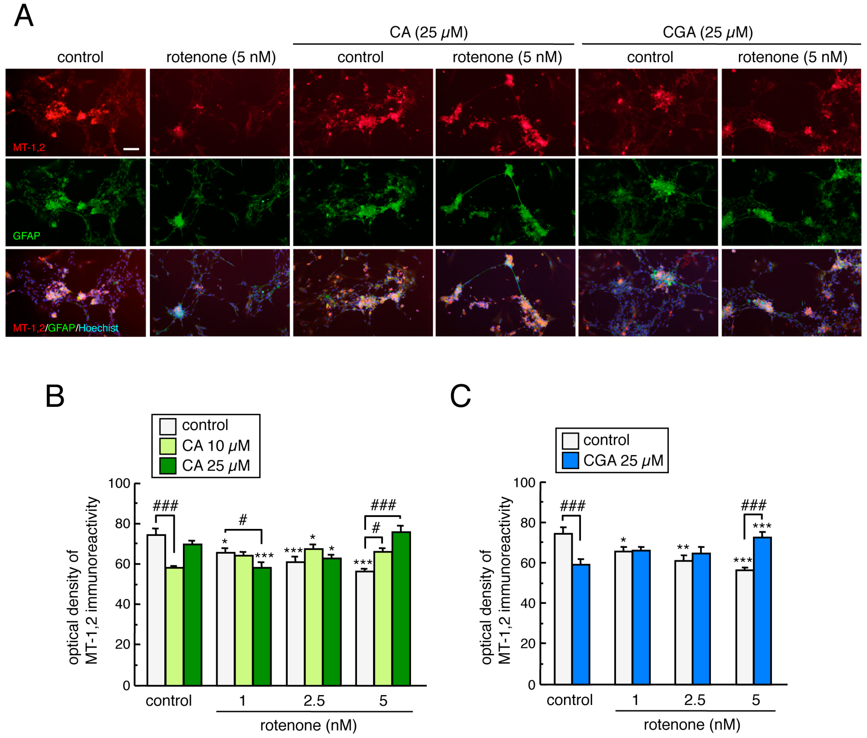 Cells 08 00221 g008 Cells 08 00221 g008