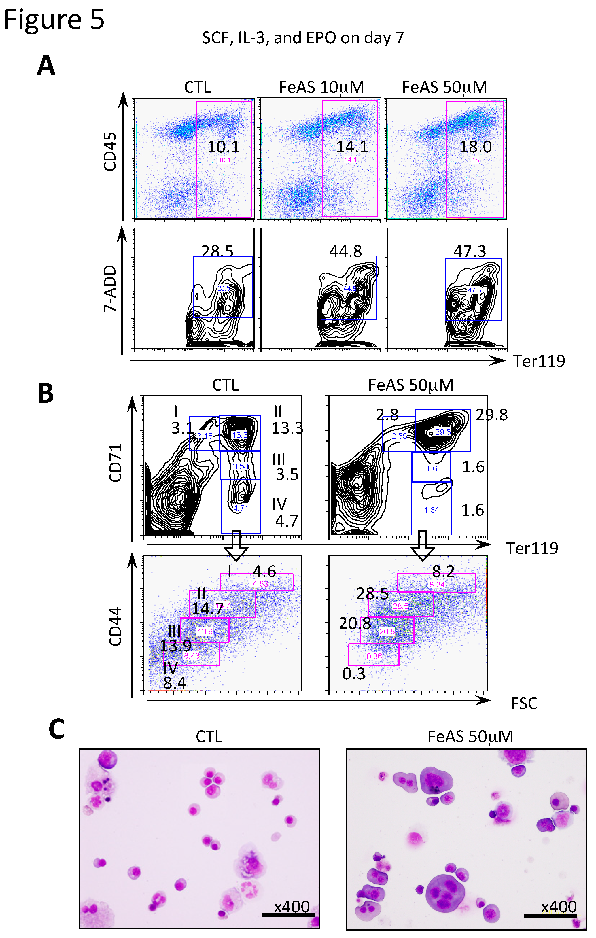 Cells 08 00226 g005 Cells 08 00226 g005