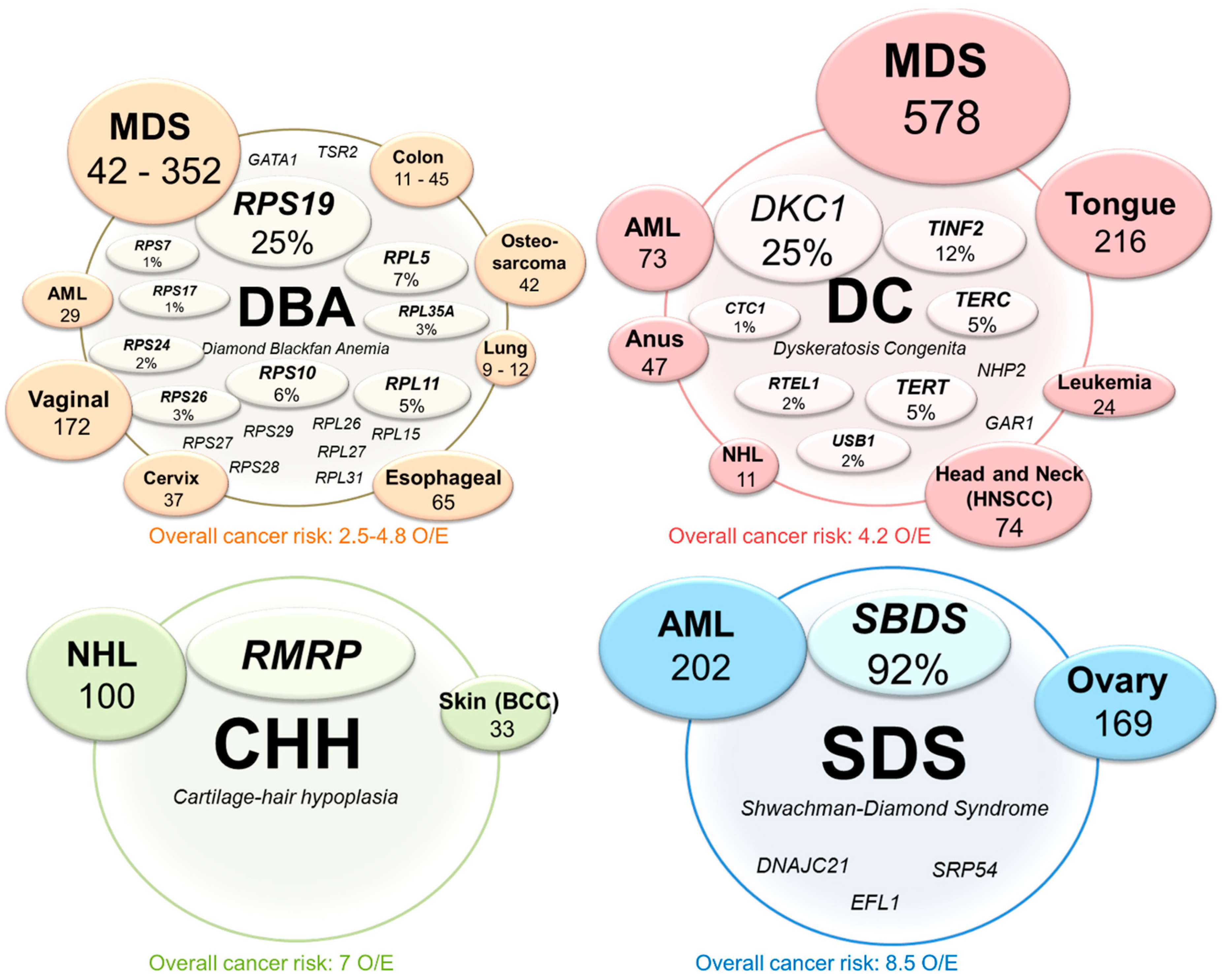 Cells 08 00229 g002 Cells 08 00229 g002