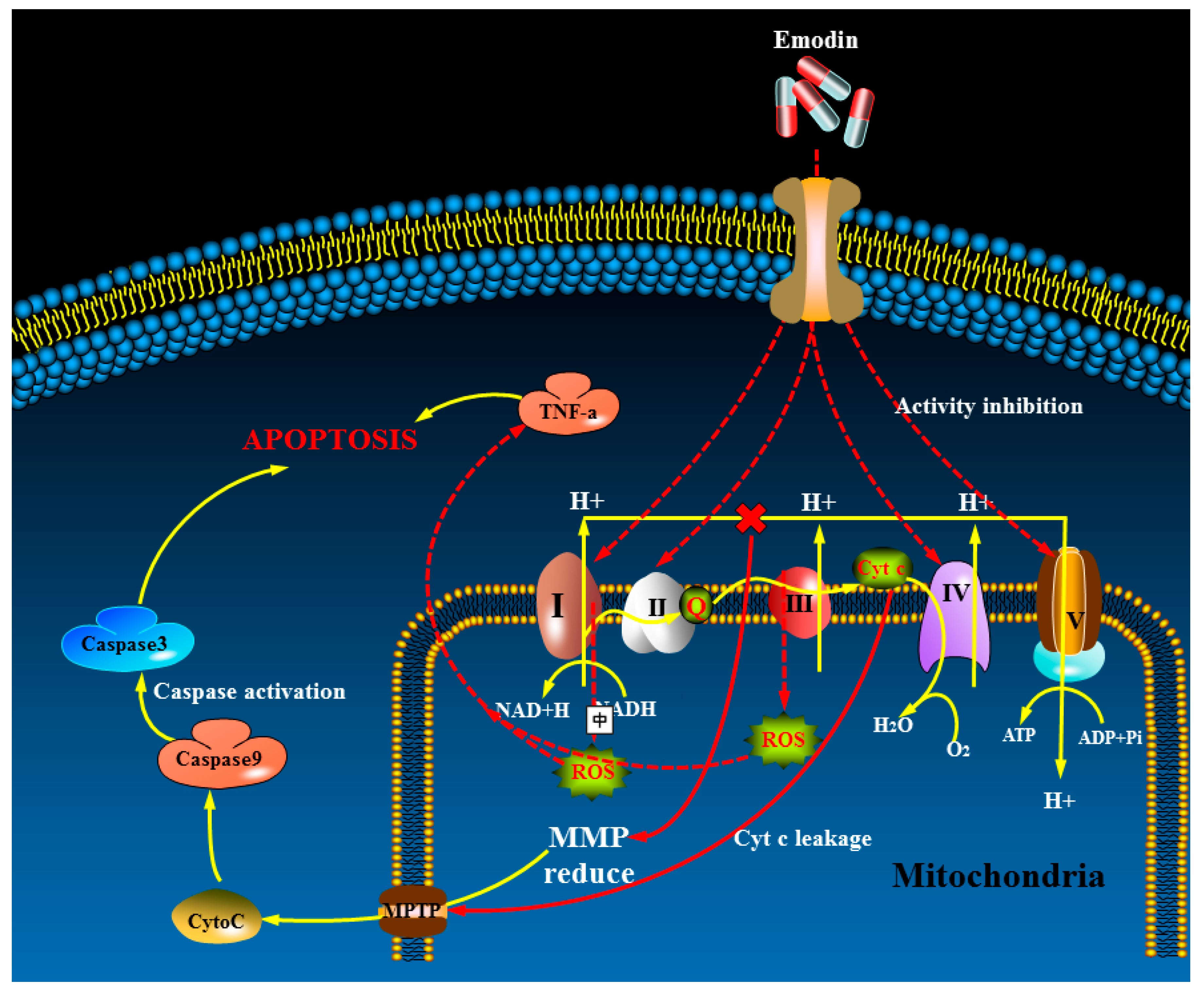 Cells 08 00263 g009 Cells 08 00263 g009