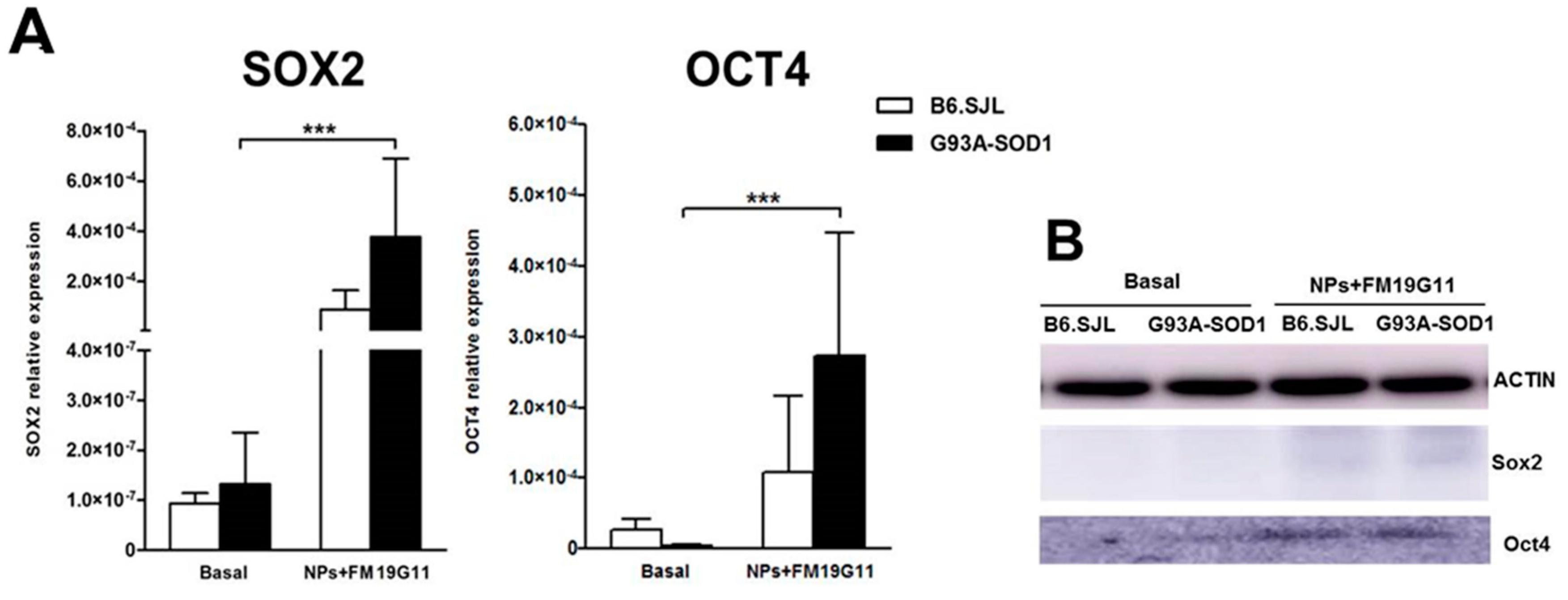 Cells 08 00279 g002 Cells 08 00279 g002