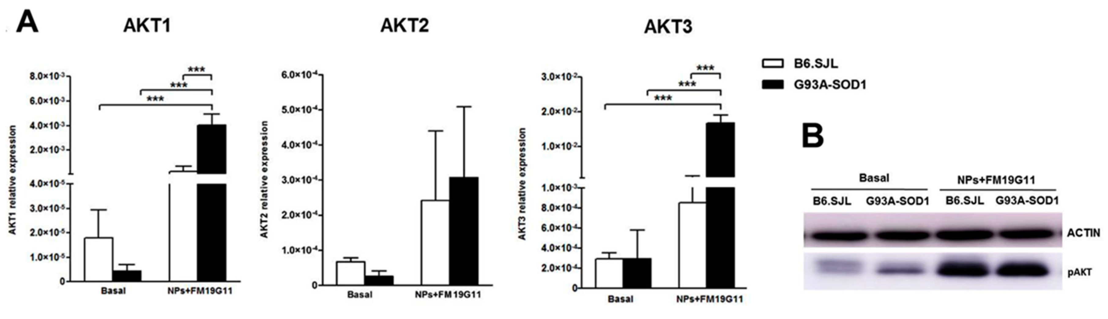 Cells 08 00279 g003 Cells 08 00279 g003