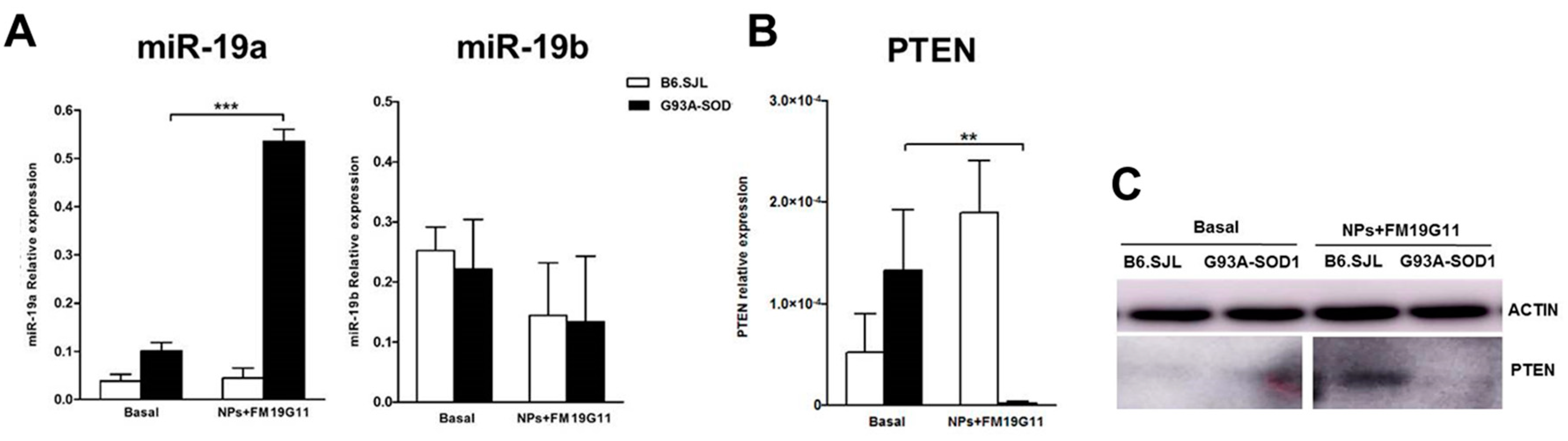 Cells 08 00279 g005 Cells 08 00279 g005
